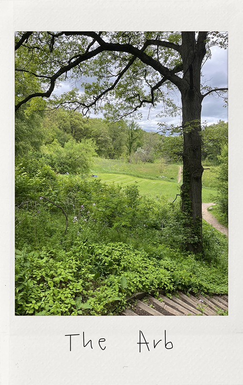 Park Polaroid - My Dao Designer Portfolio