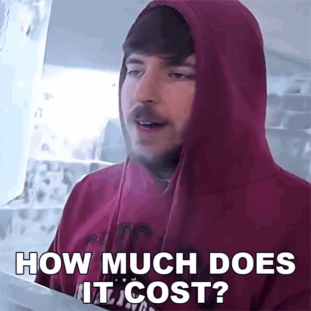 Mr Beast Asks: How Much Does It Cost?
