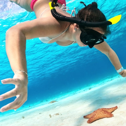 考祖梅爾烏龜保護區:浮潛旅遊票