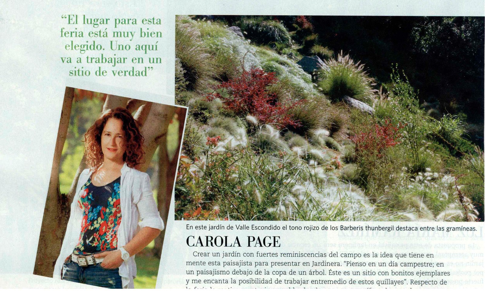 Vivienda y Decoración 2011, Diario El Mercurio
