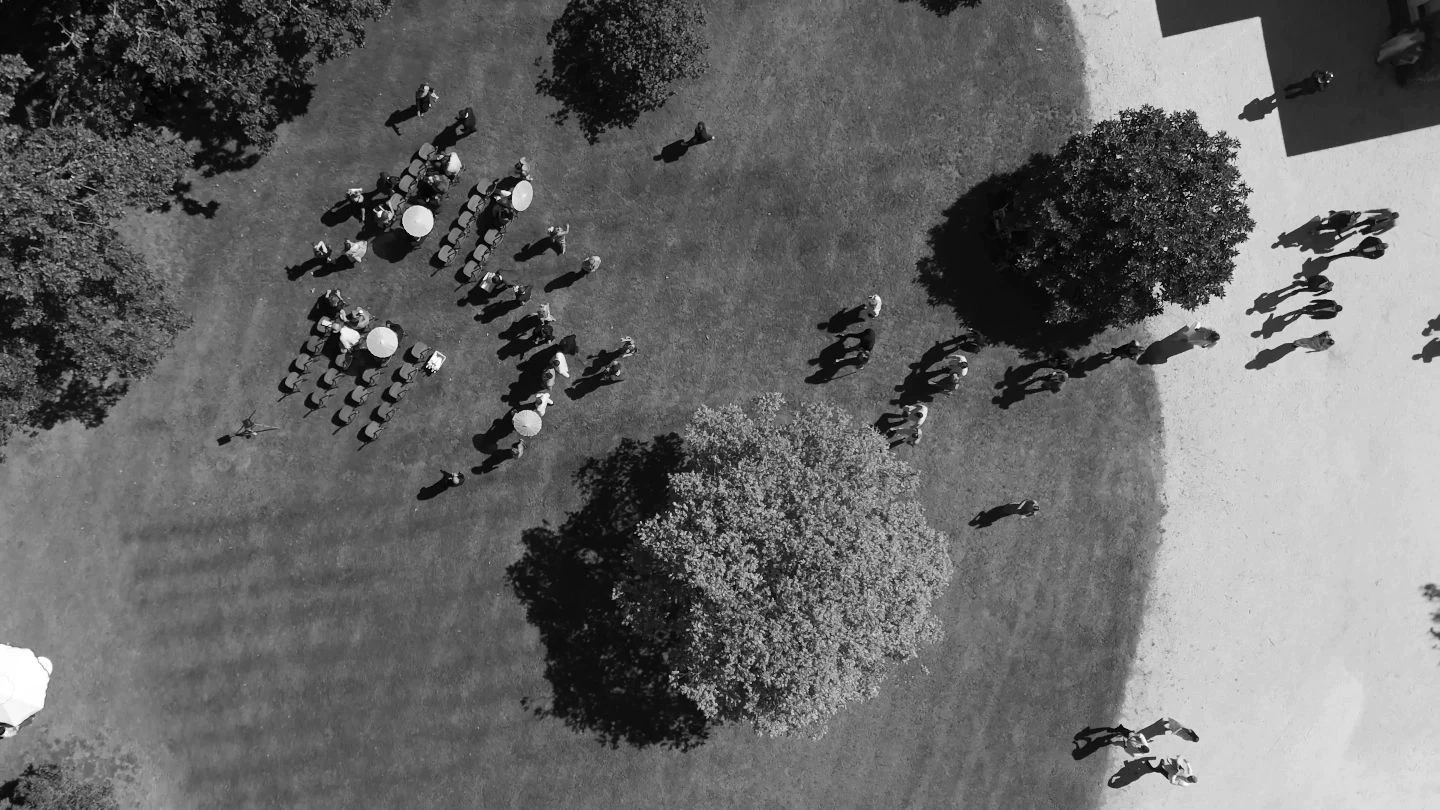 Aerial view of a garden party on a sunny day, showing groups of people with umbrellas gathered on a spacious lawn dotted with trees, casting long shadows.