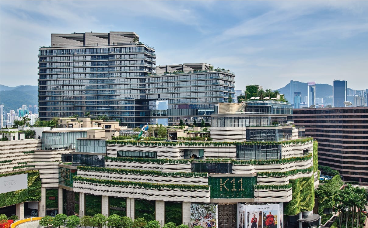 Profile portrait with natural lighting featuring long blonde hair