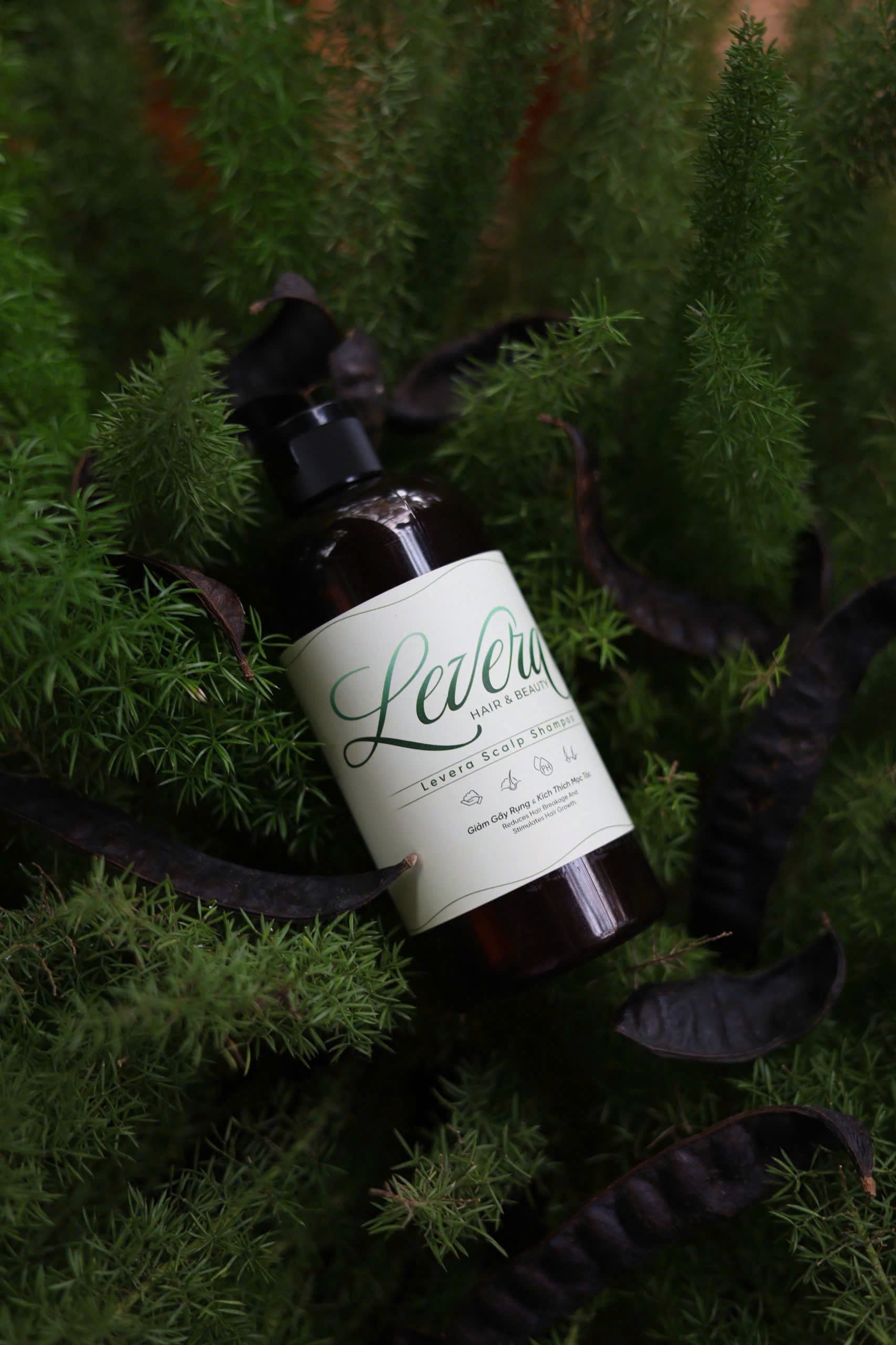 a collection of skin care products on a pink background