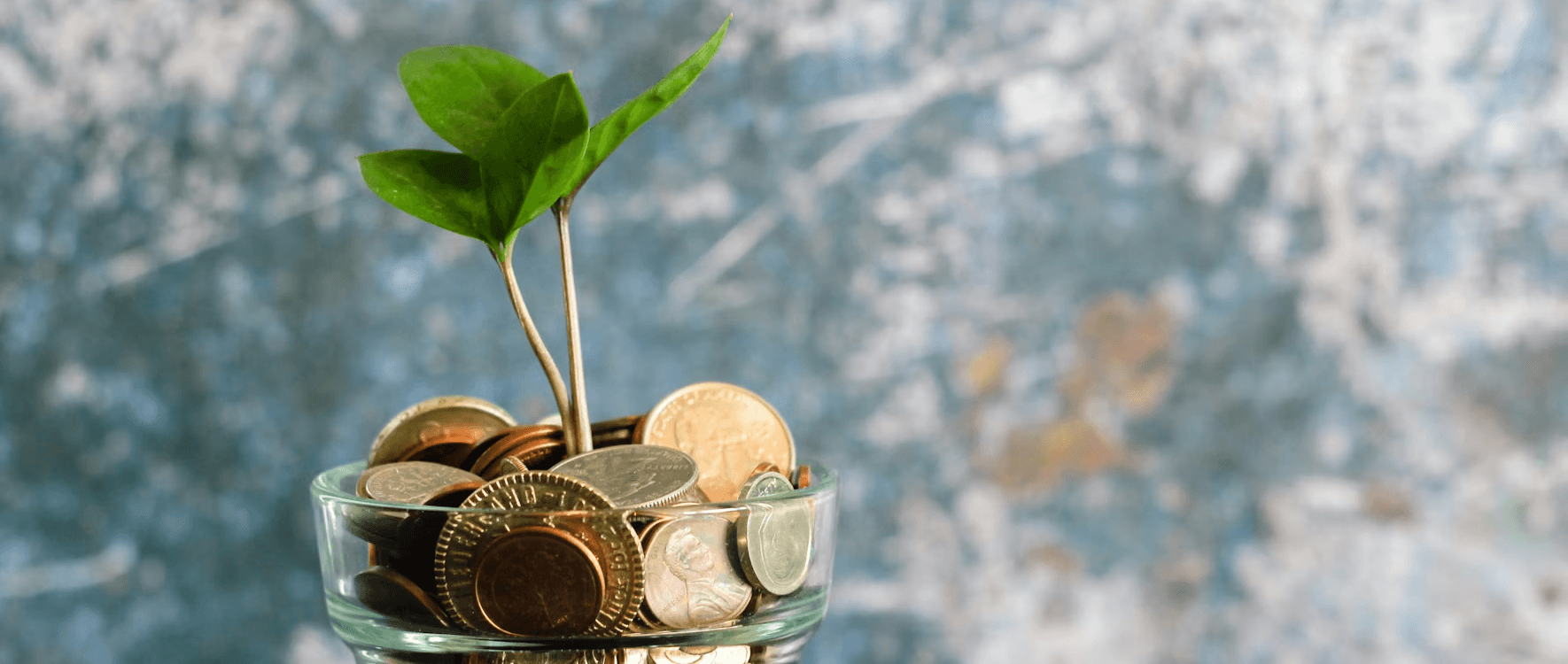 Cost effiecient with agency wagman