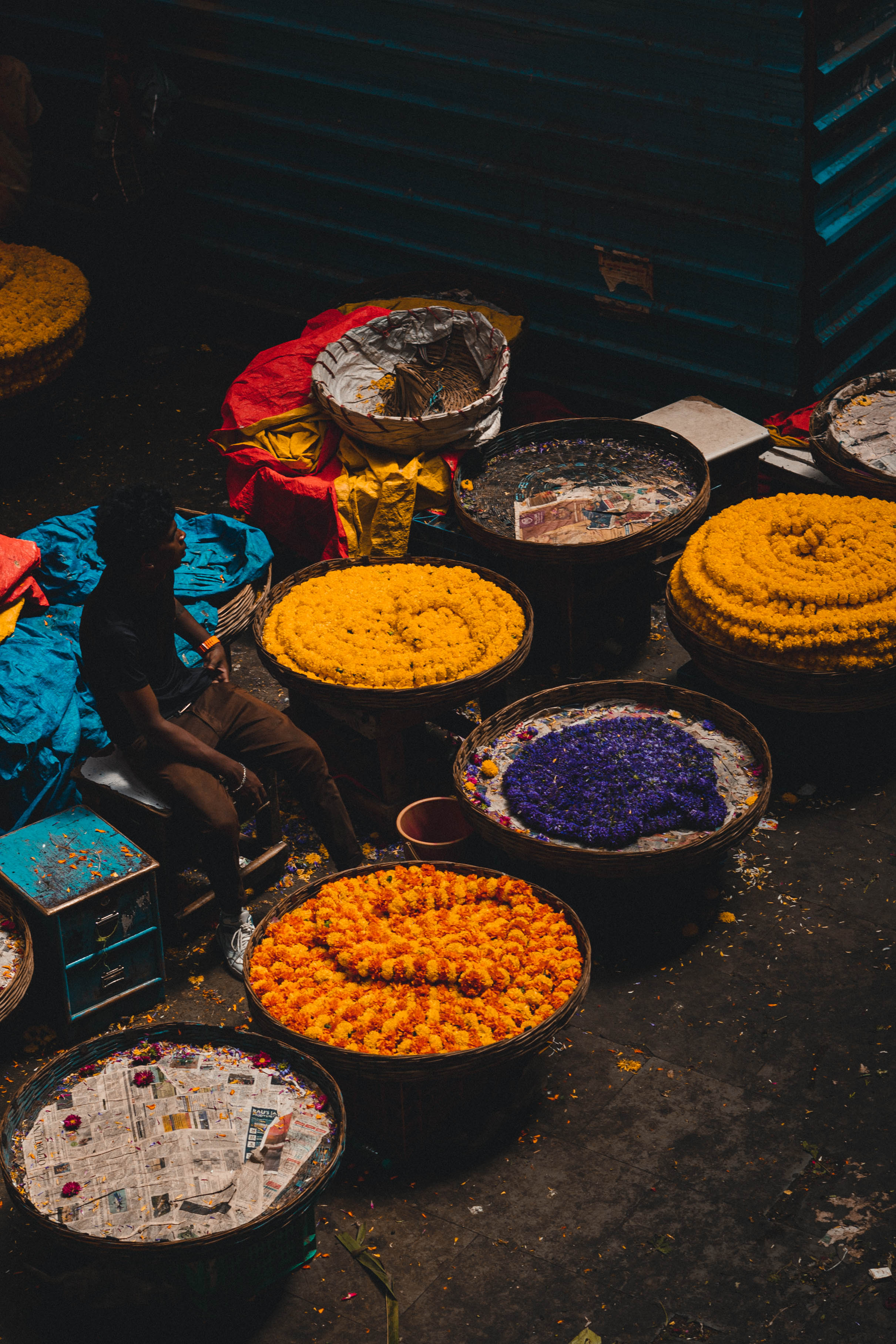 Flower Boy . KR Market