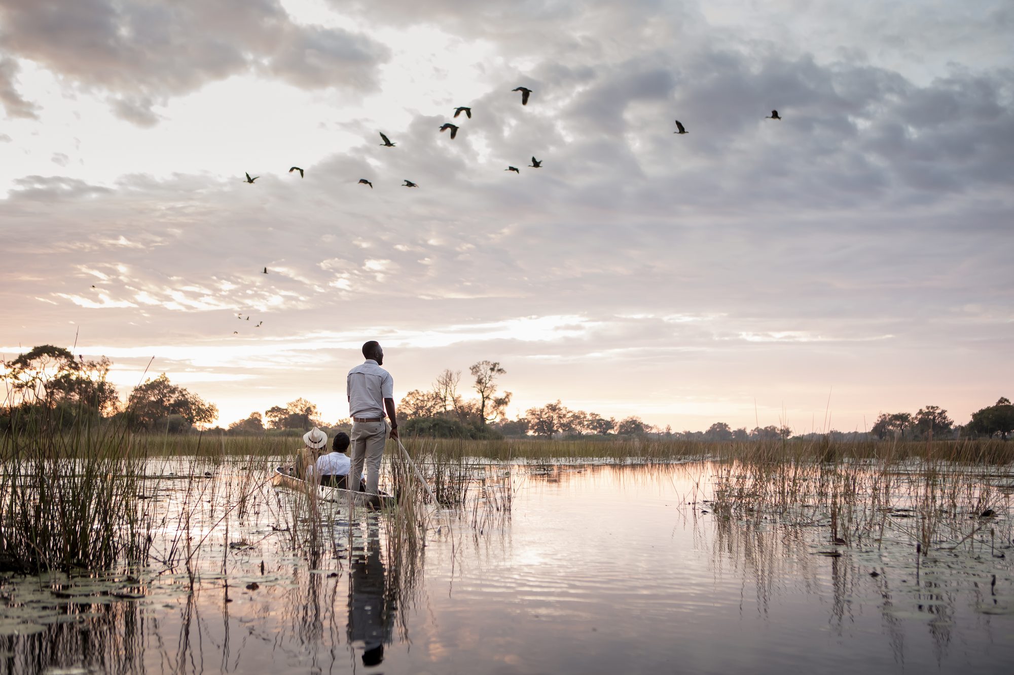 A guide stands and poles a mokoro carrying two guests through reeds and still water in Botswana's Okavango Delta, as birds fly across a soft pink sky.