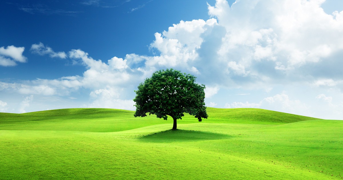 A smiling young man with crossed arms, wearing a plaid shirt and white t-shirt, poses against a dark background.