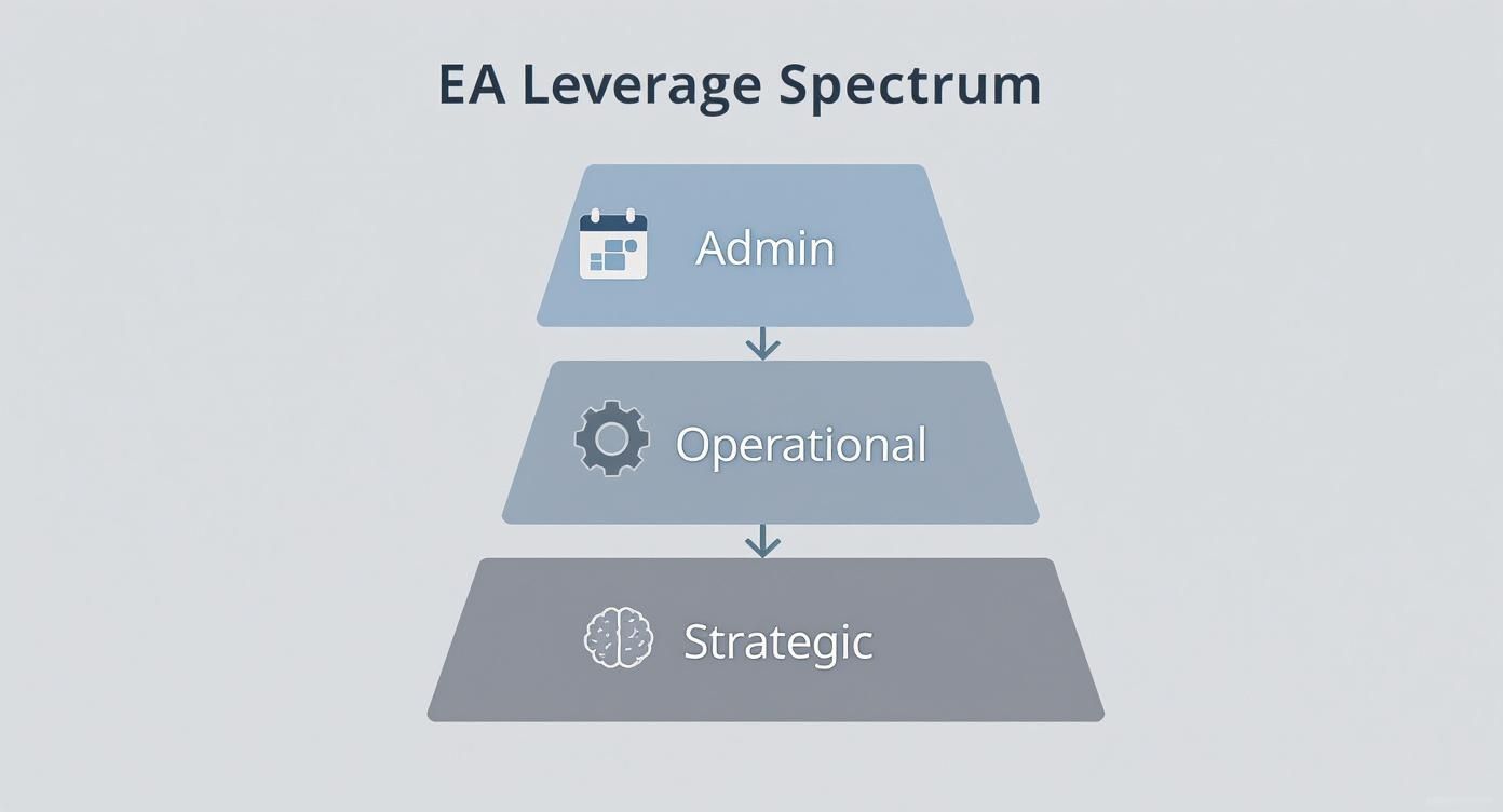 Infographic about what is an executive assistant do