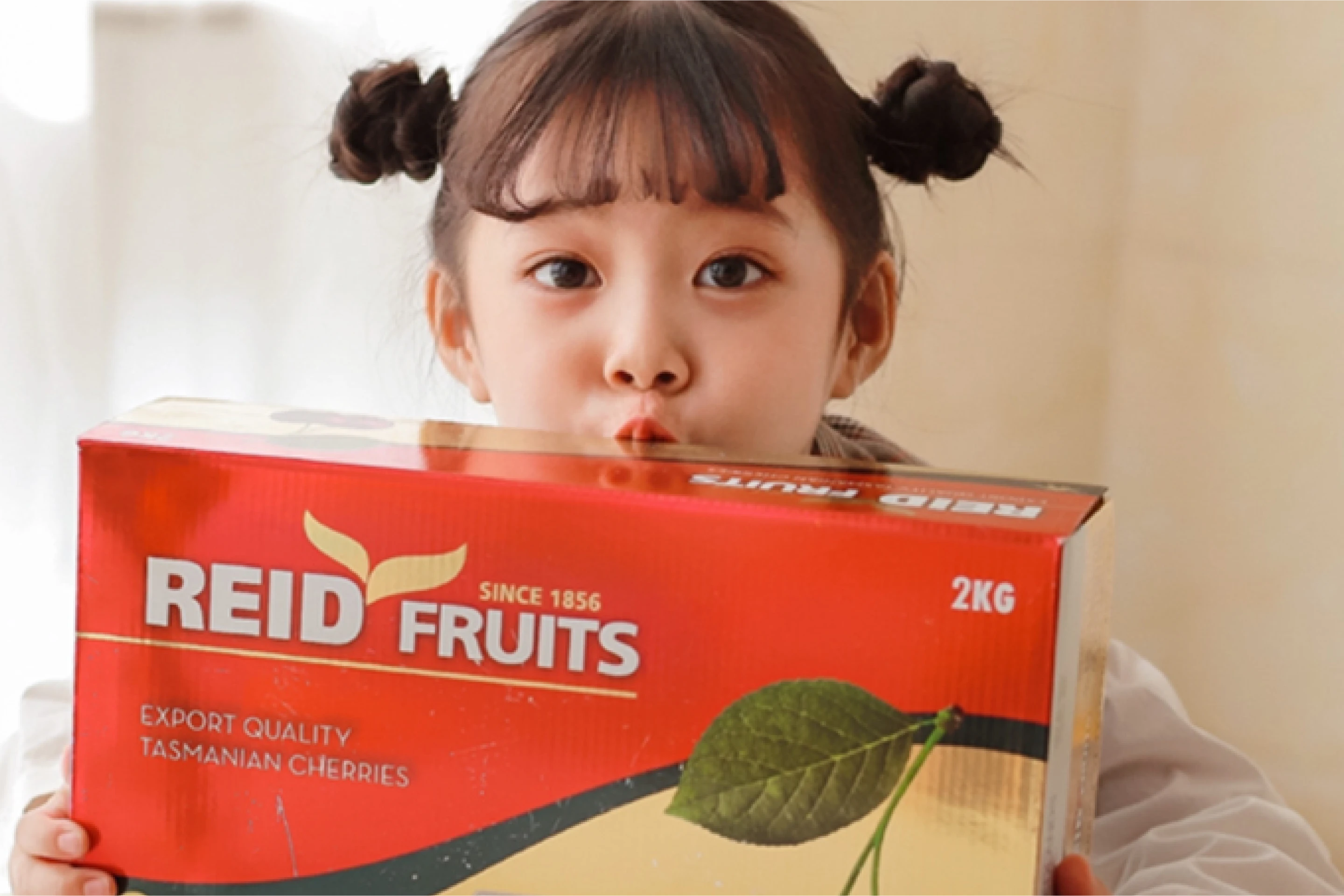 Reid Fruits banner