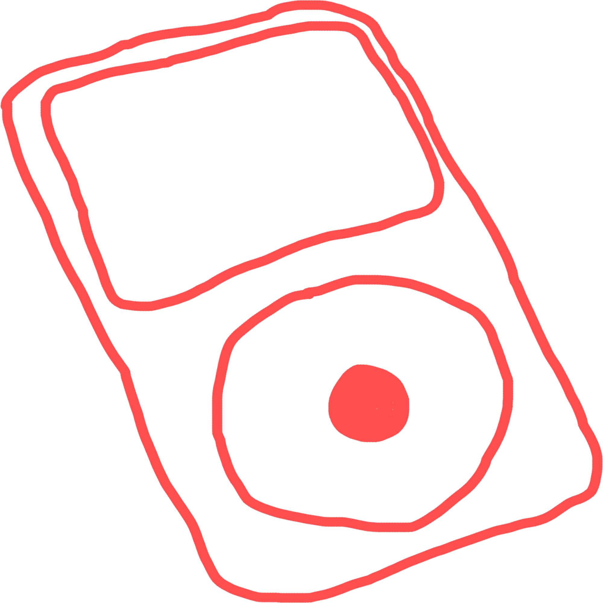 Joar Nordli Innholdsproduksjon