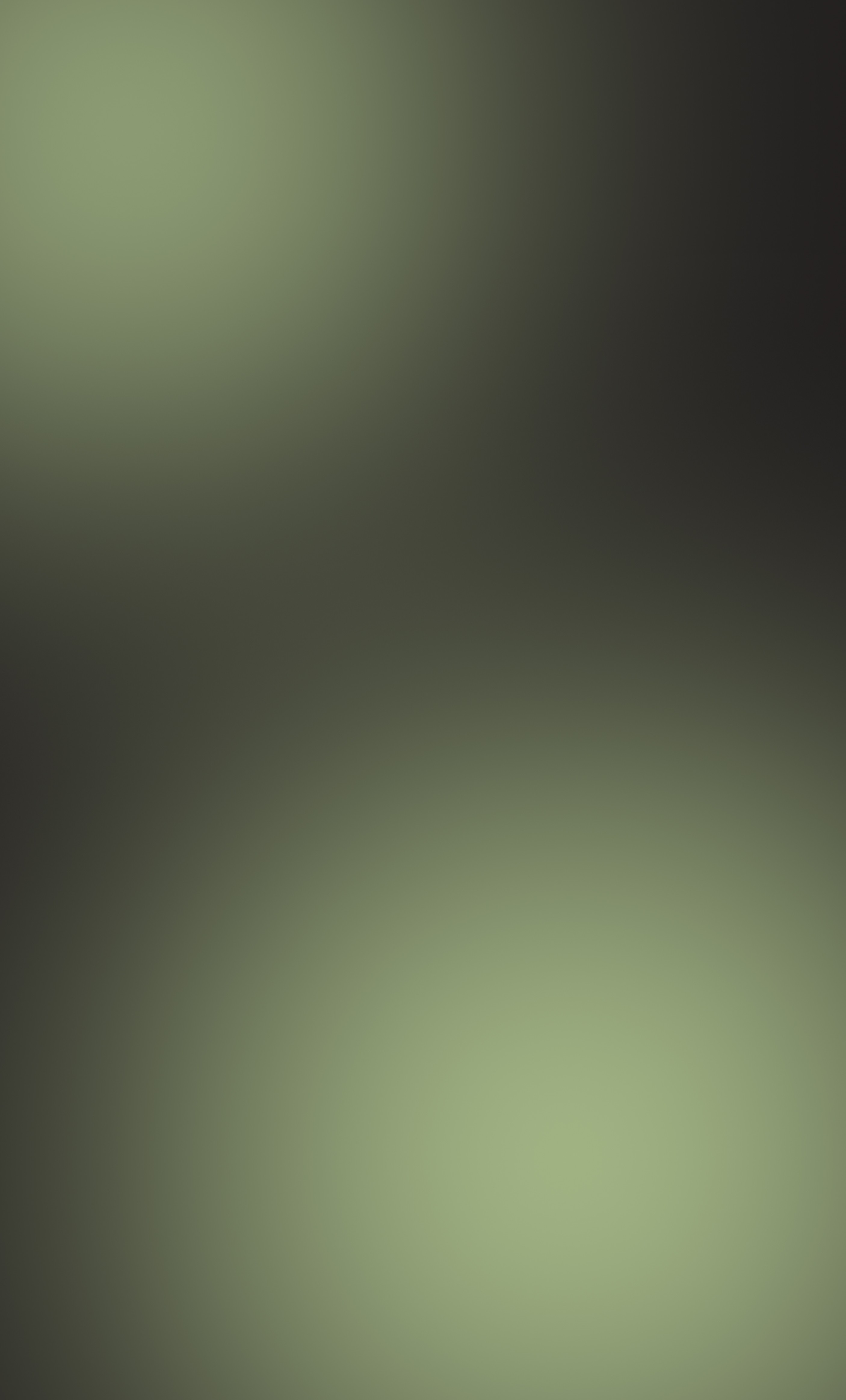 BC COLOR