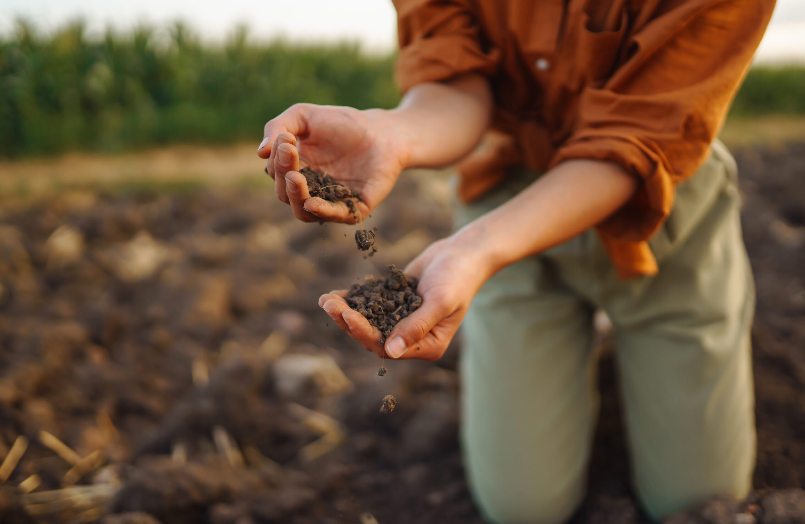 Organic farmer holding soil