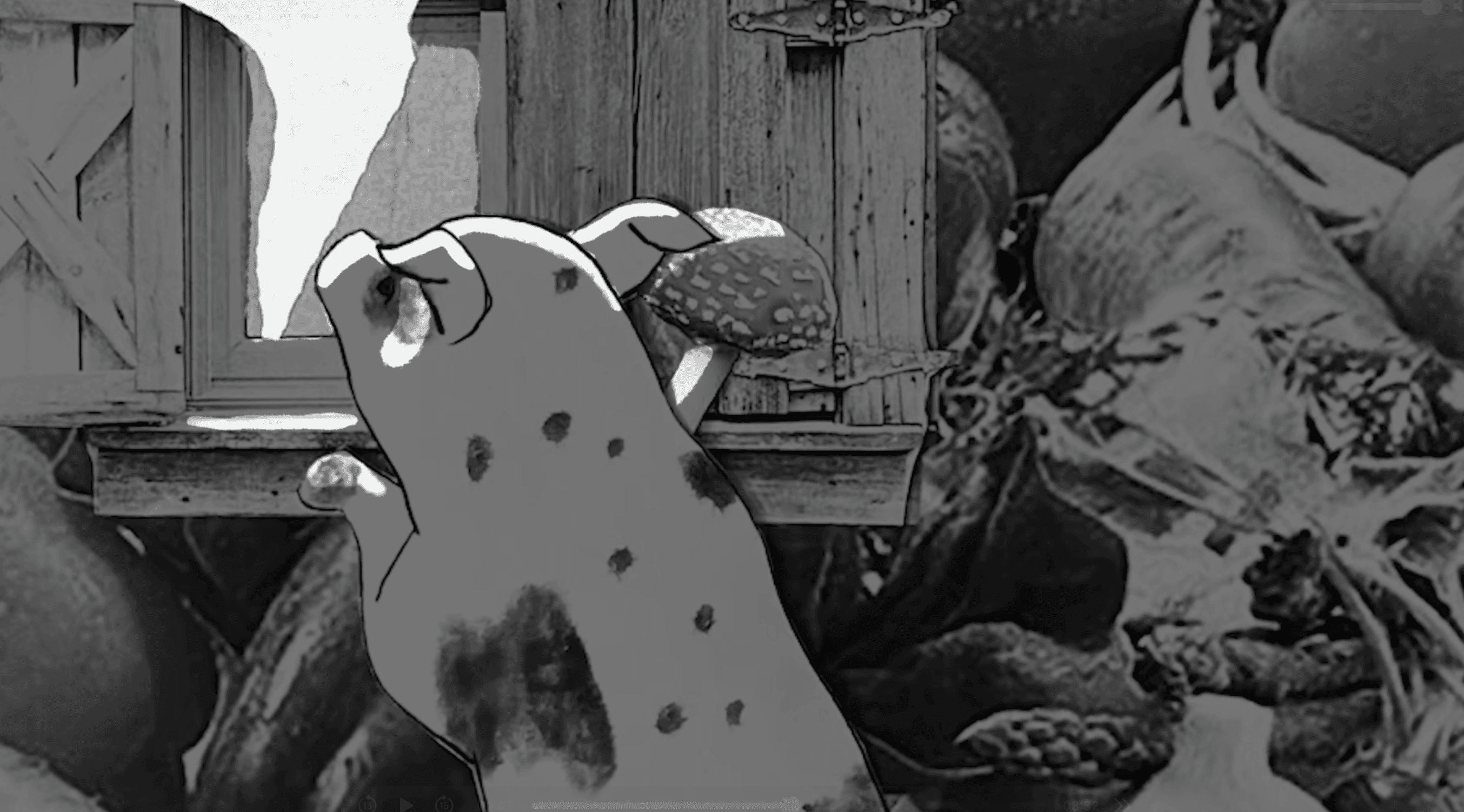 silver iMac turned on inside room