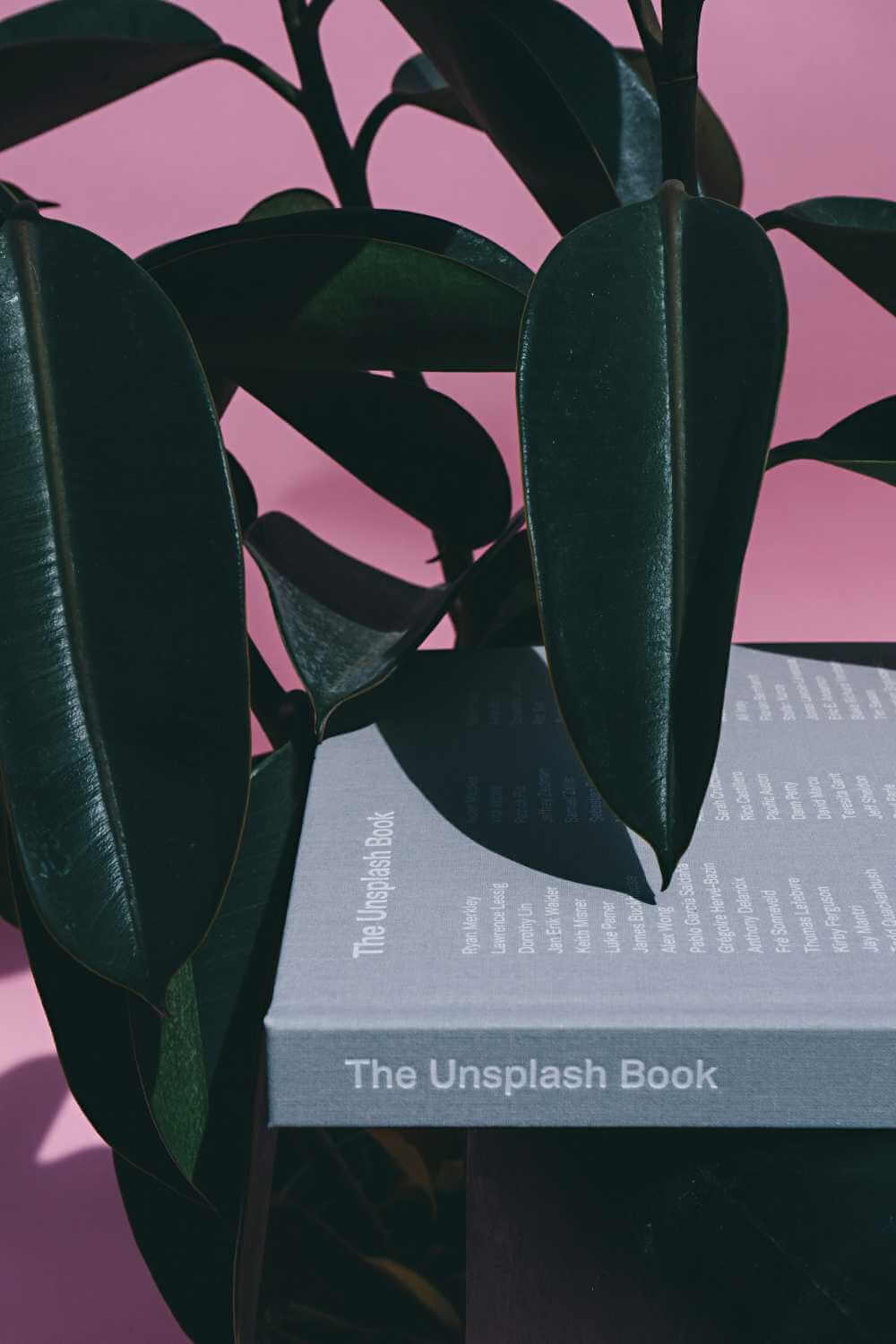 The Unsplash book photo surrounded by plants.