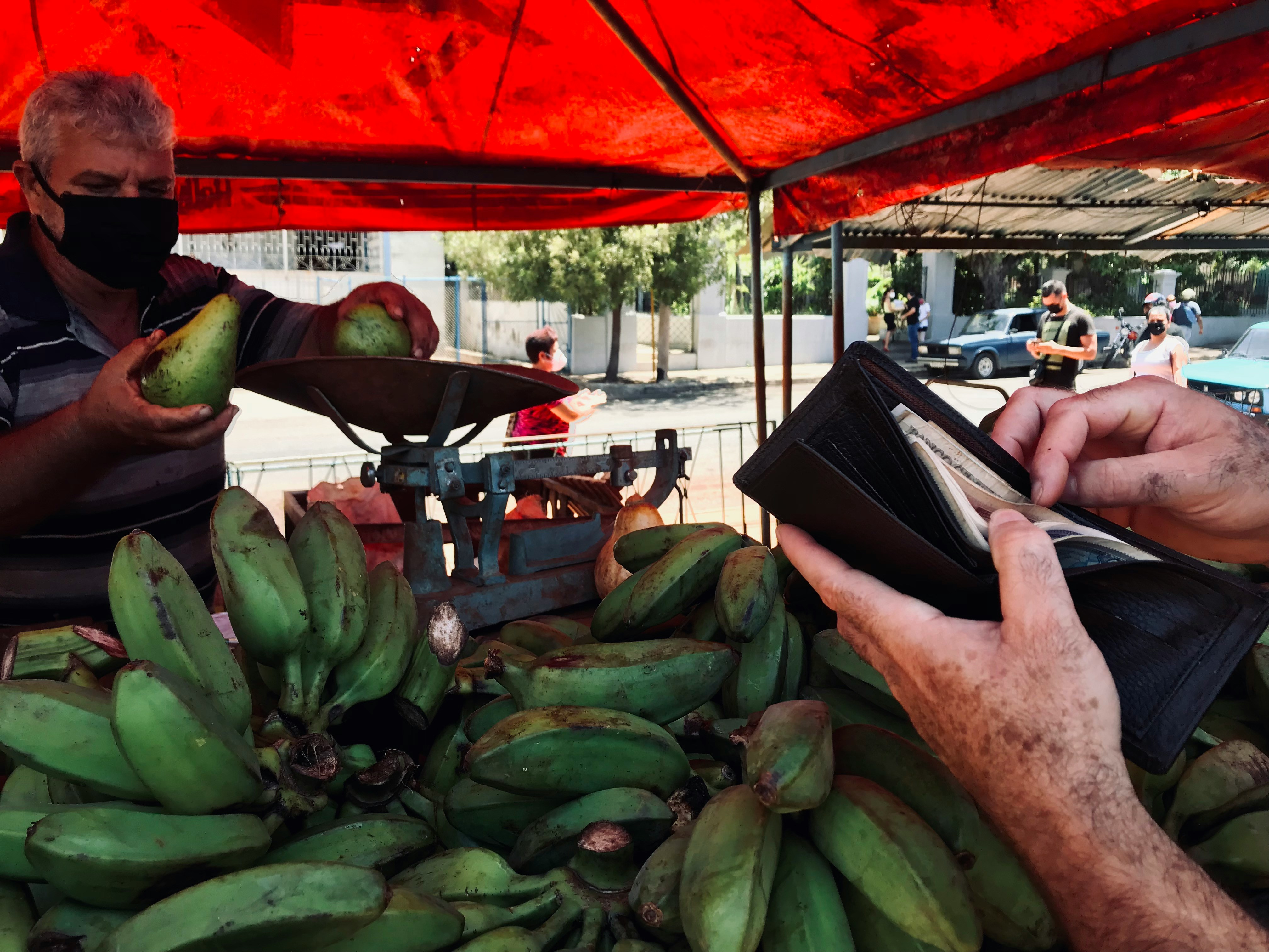 A farmer handing fresh produce to a customer at an outdoor market.