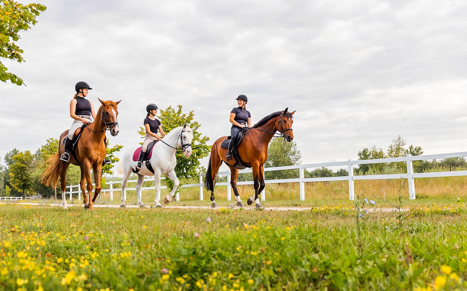 Horseback riders on a scenic trail near Siena, Italy.