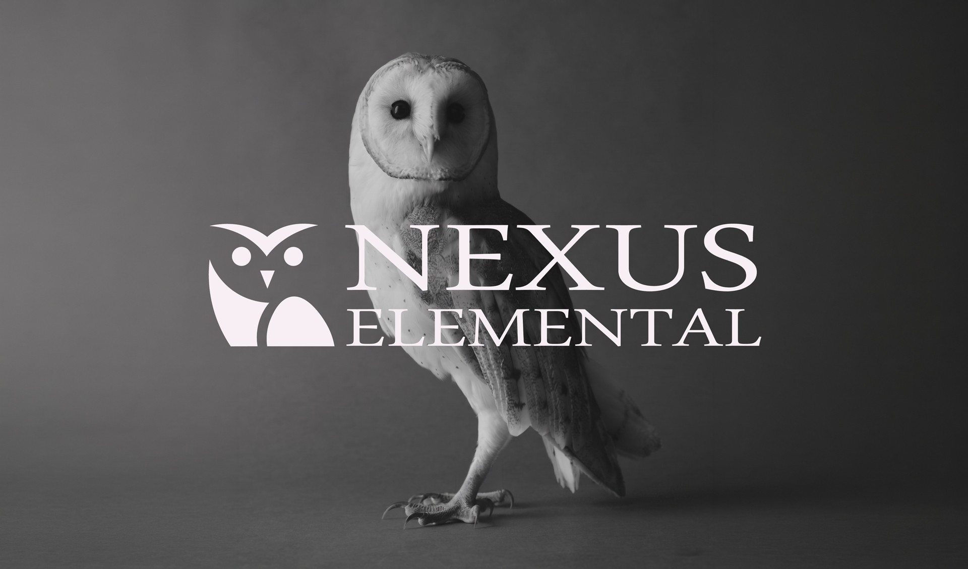 Contemporary wooden architecture featuring natural cedar cladding and floor-to-ceiling glazing