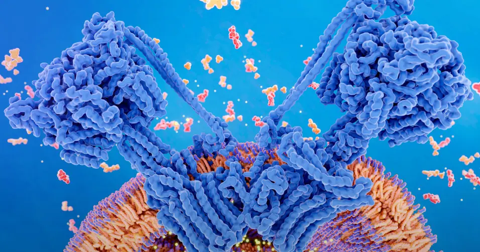 MOTS-c is a mitochondrial peptide that enhances metabolism and endurance.