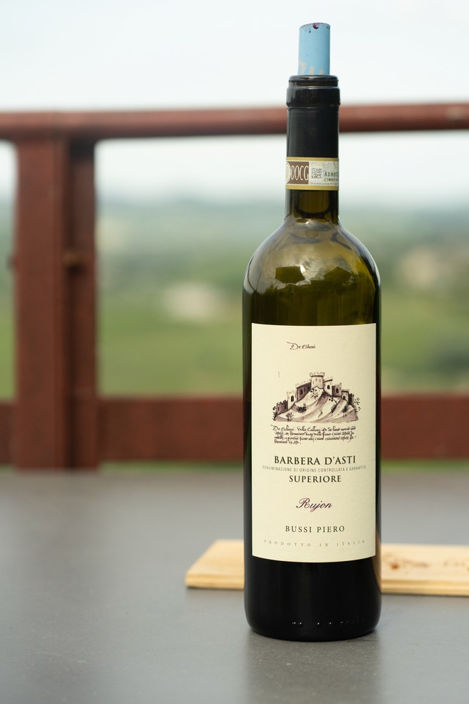 Romantic dinner with Merlot wine and Spaghetti with Meatballs, perfect pairing for an elegant evening.