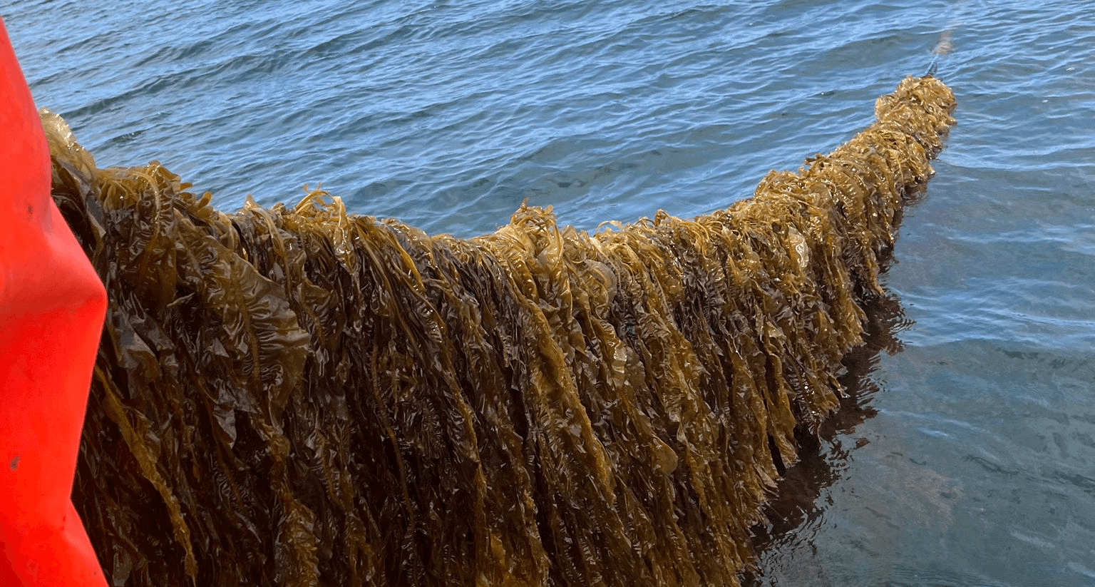 Man with surfing with paddle