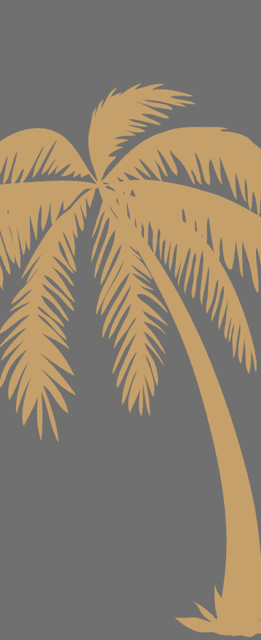 Two palm trees