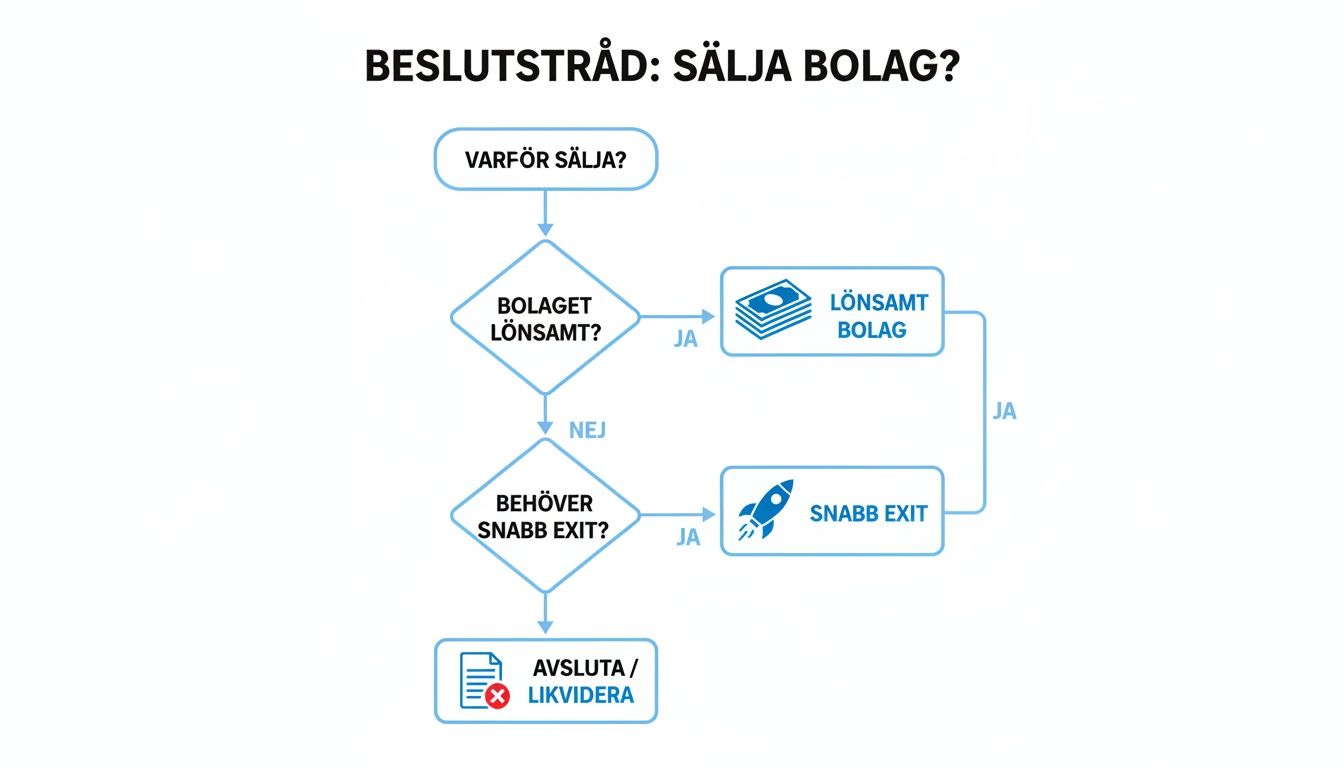Flödesschema som illustrerar en beslutsprocess för att sälja ett bolag, baserat på lönsamhet och behov av snabb exit.