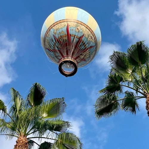 நான் விகியாவின் உயர்வு