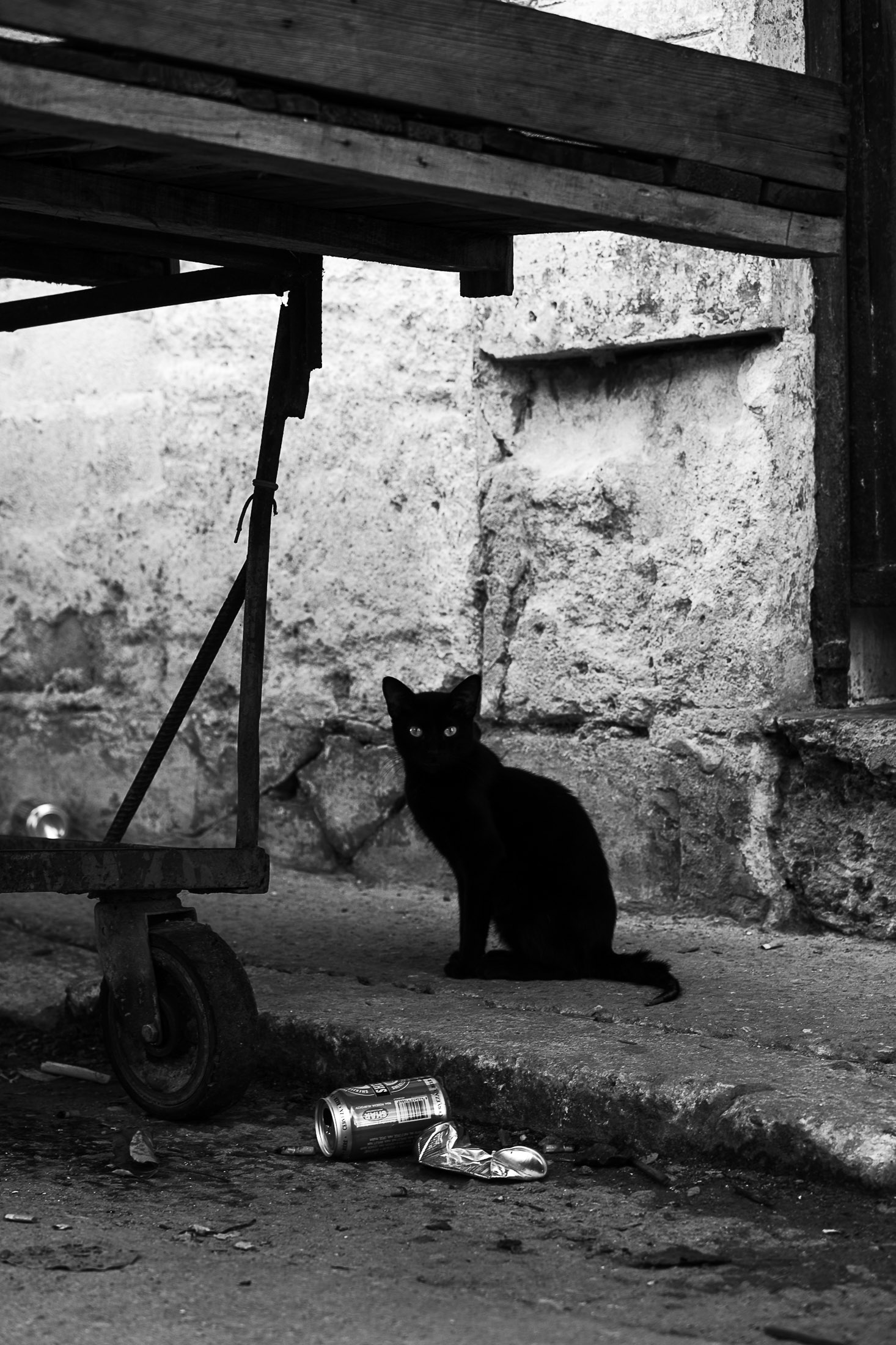 Black and white photograph of a black cat sitting in an alley next to a crushed can, street photography by Richard Peterson.