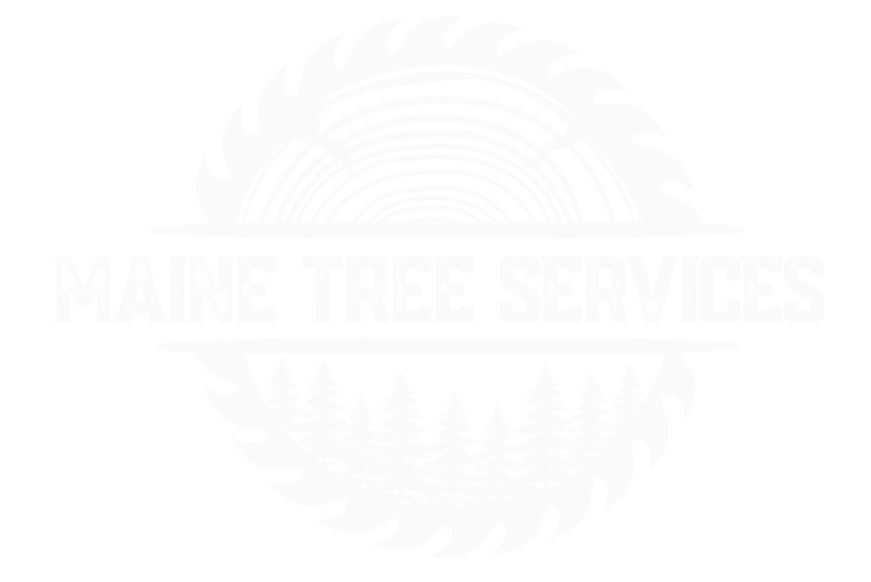 Logo for Town Fair Tire