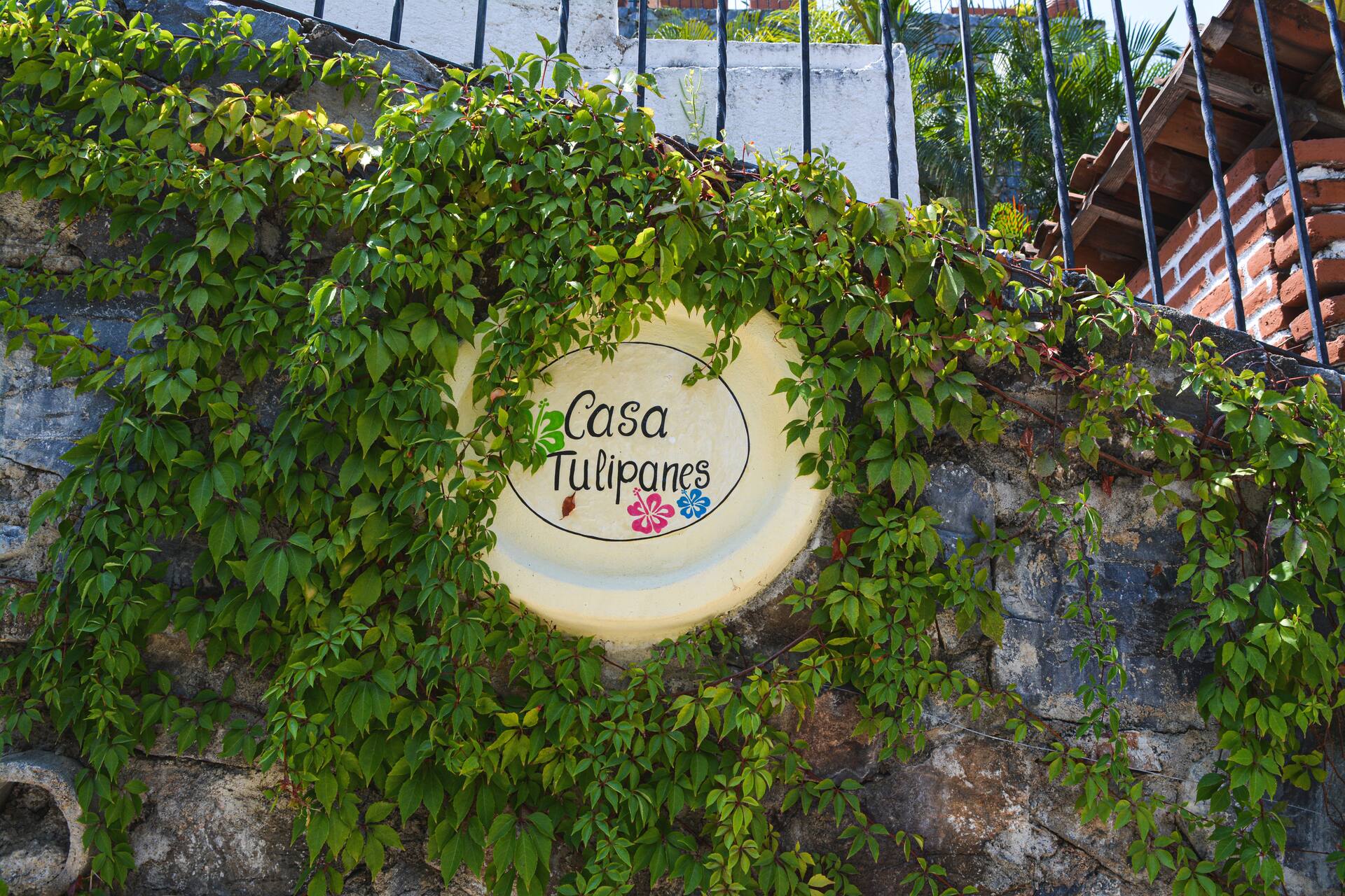 white building photographt