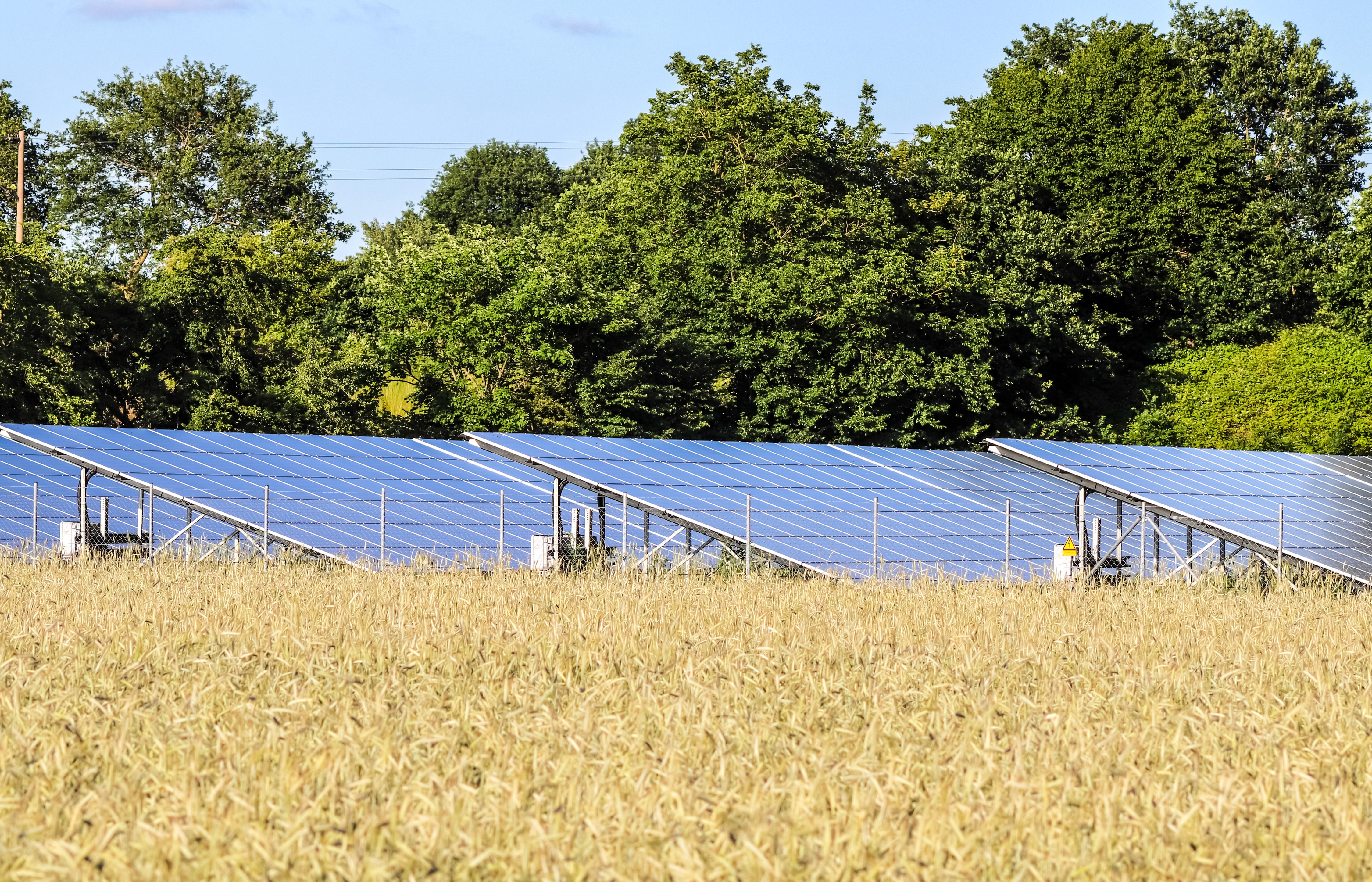 香港農場太陽能光伏系統安裝實景 農光互補方案