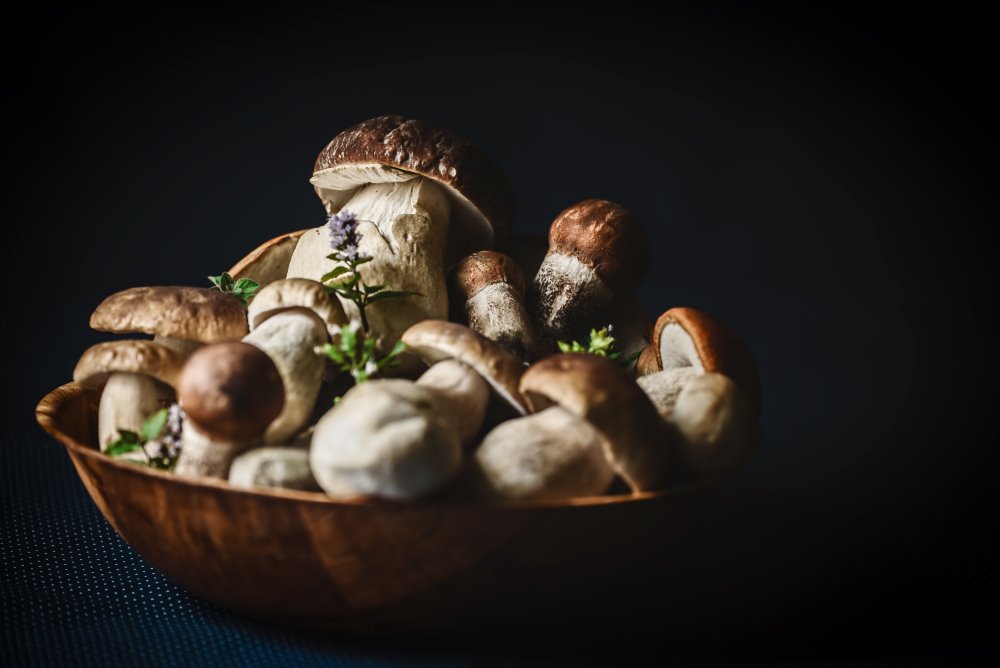 Funghi porcini