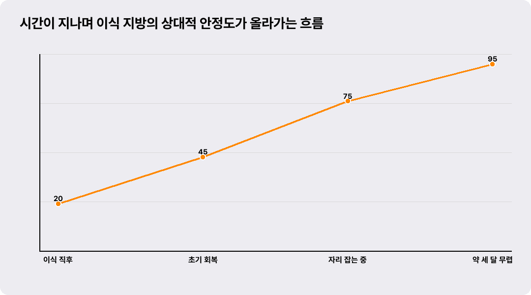 시간이 지나며 이식 지방의 상대적 안정도가 올라가는 흐름
