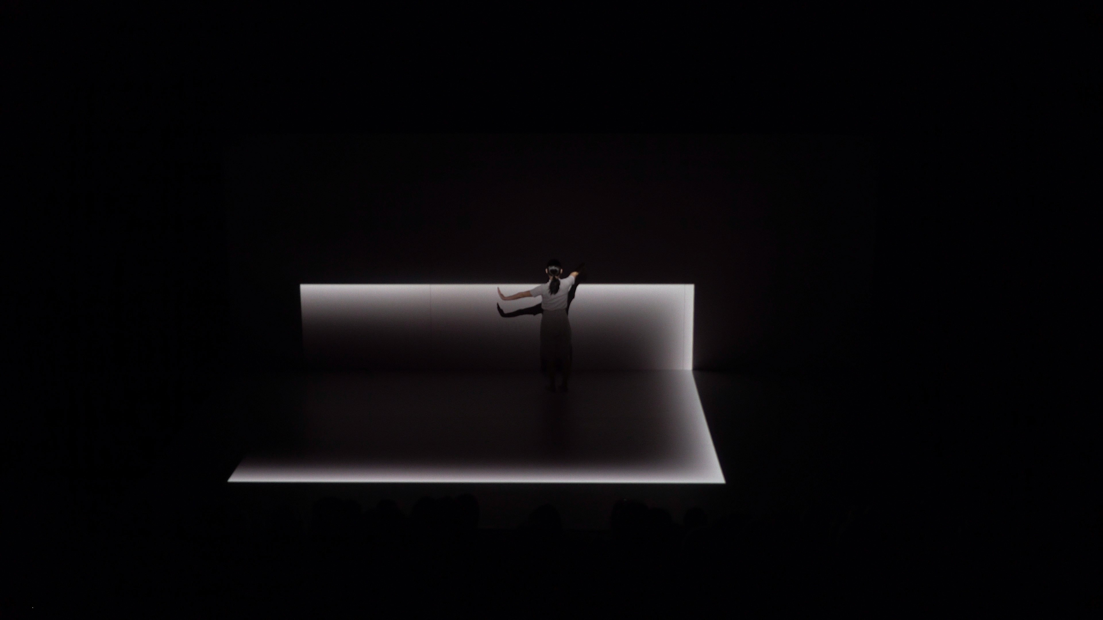 Spektrum - augmented performance installation