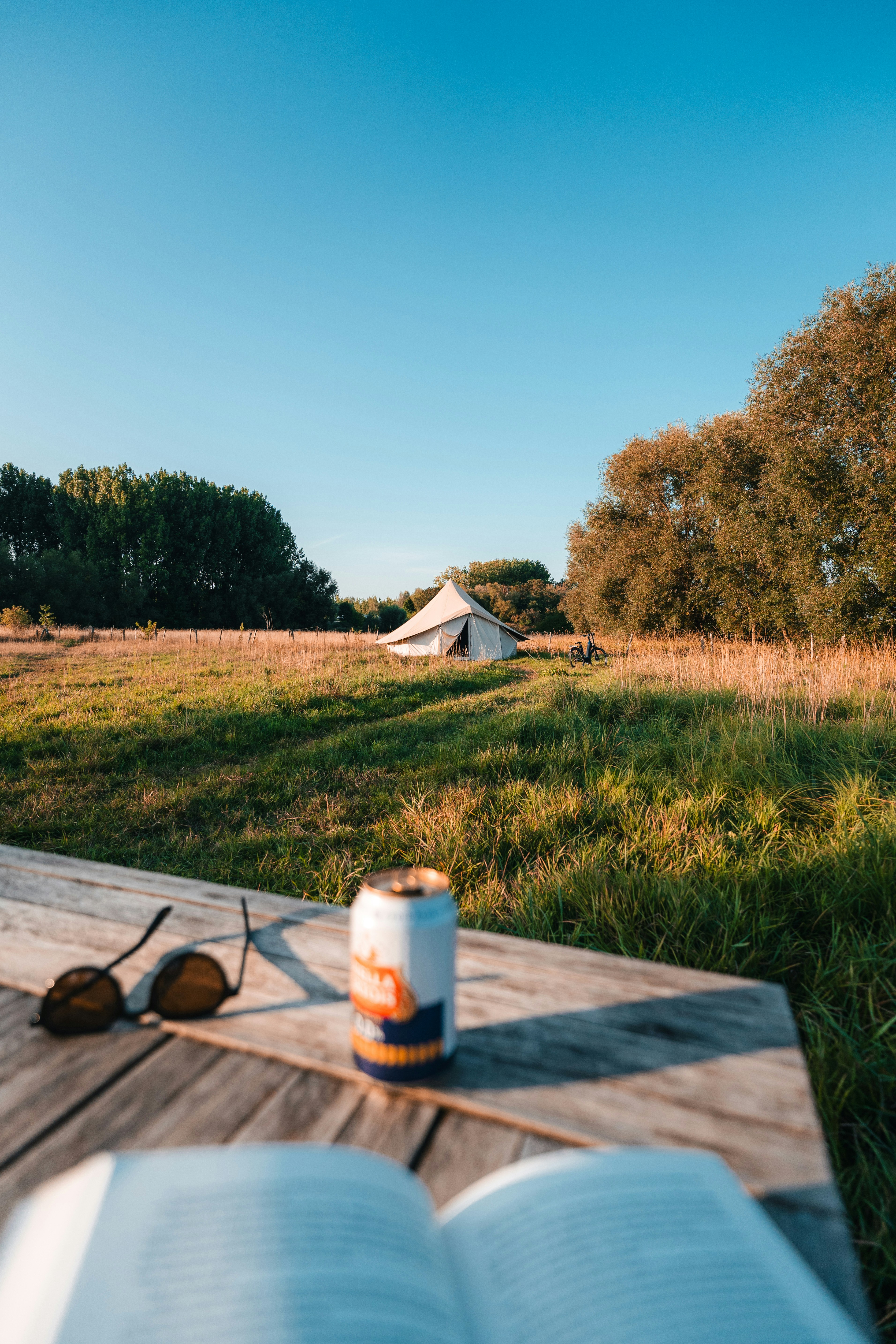 Tent in a field with a book and drink.