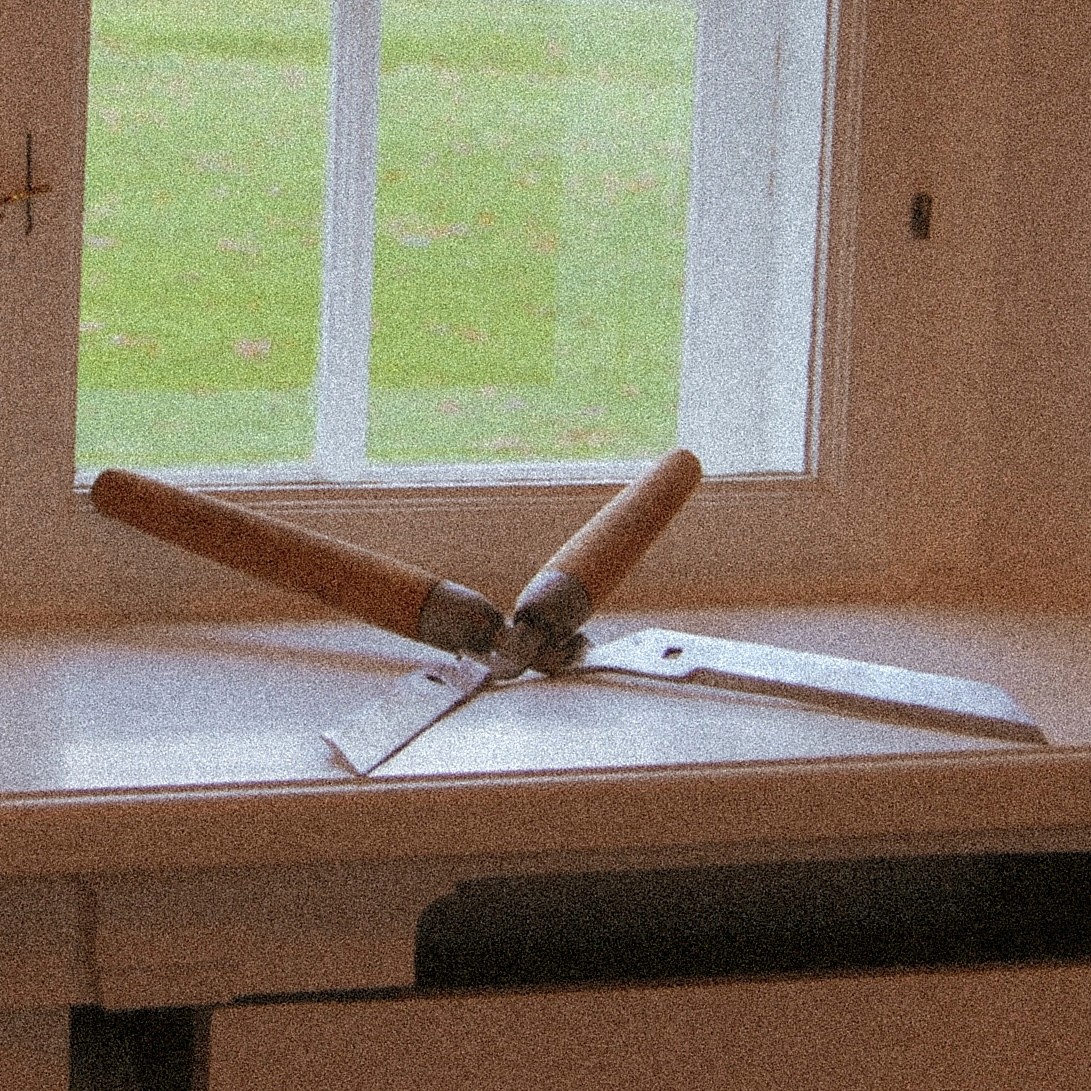 portrait photography