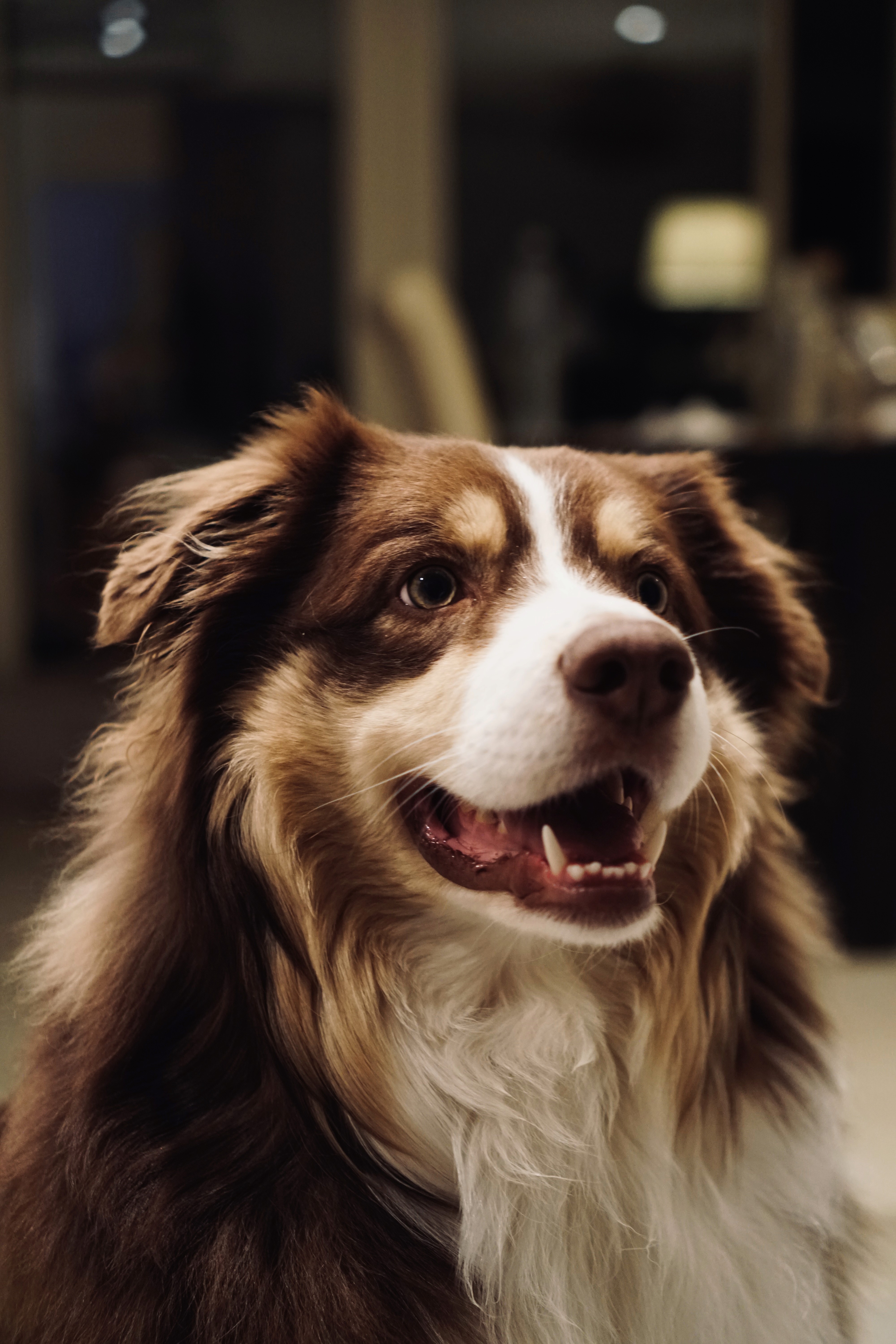 Author image, Client