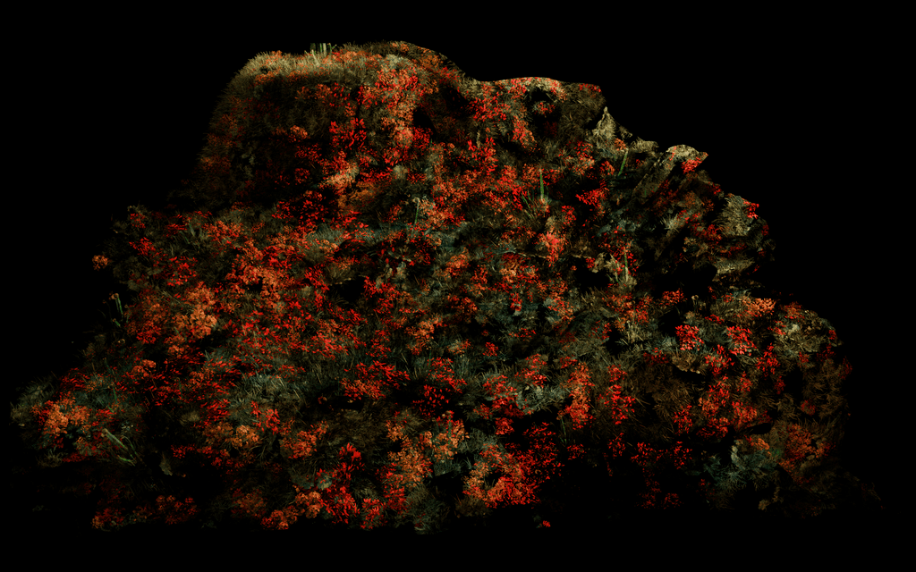 Imagen del estilo visual de la pieza representando una formación rocosa cubierta de musgo y vegetación orgánica en tonos rojos y naranjas, iluminada de forma dramática sobre un fondo negro, resaltando texturas naturales y un patrón visual denso y orgánico.