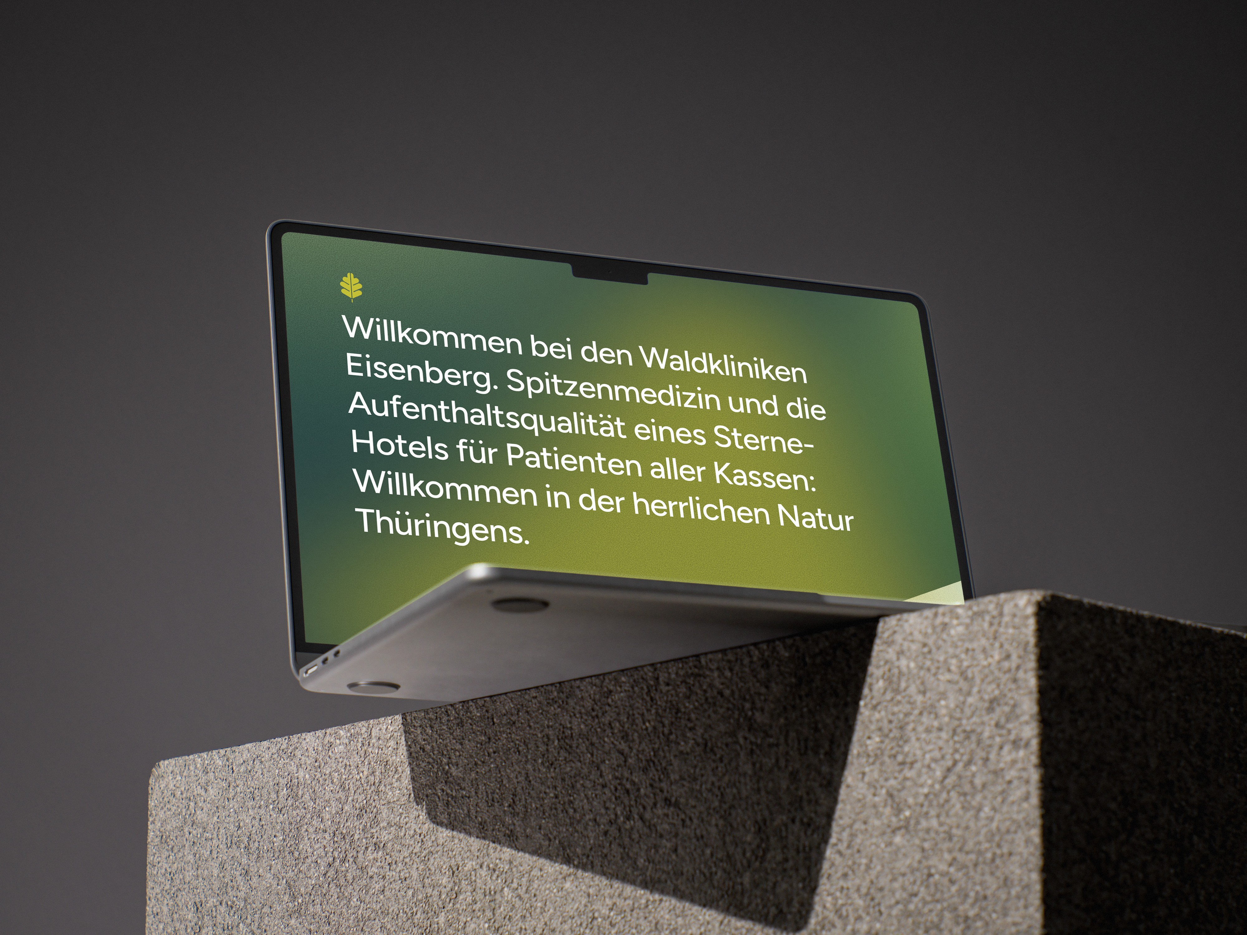 Large Project Gallery Image #1