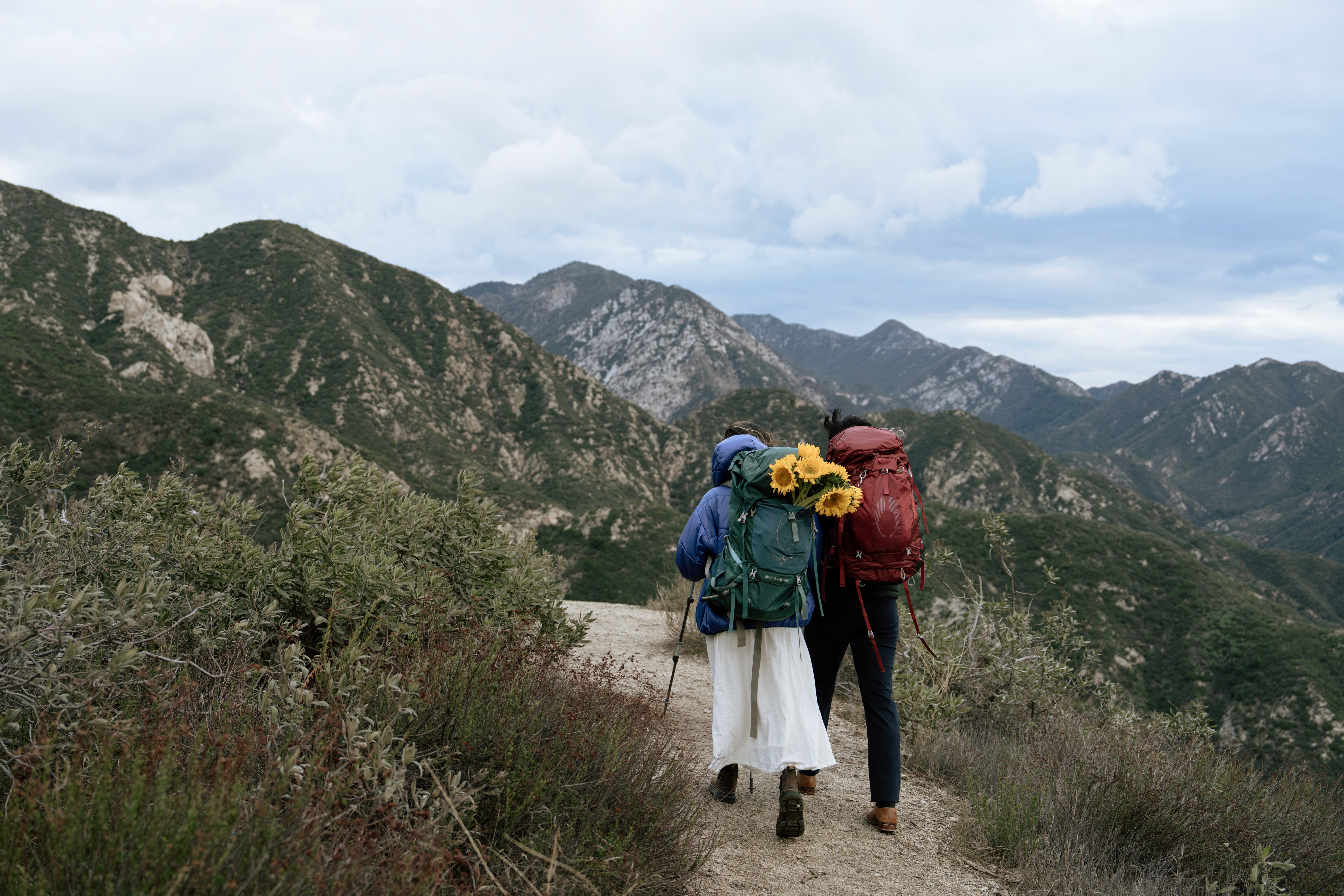 Couple portrait with dog on field