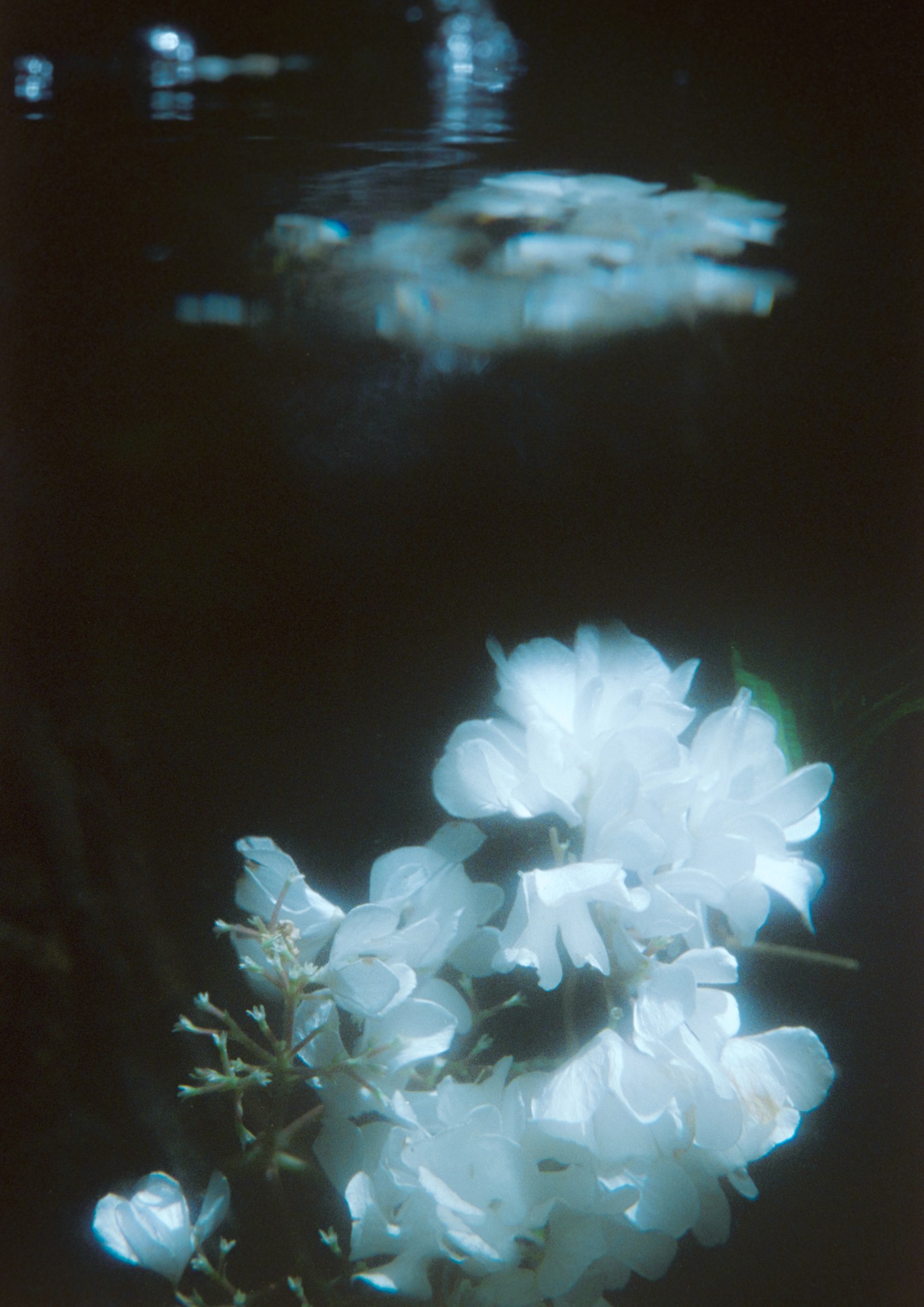 Taisei Matsumoto, 2023 exhibition work 030