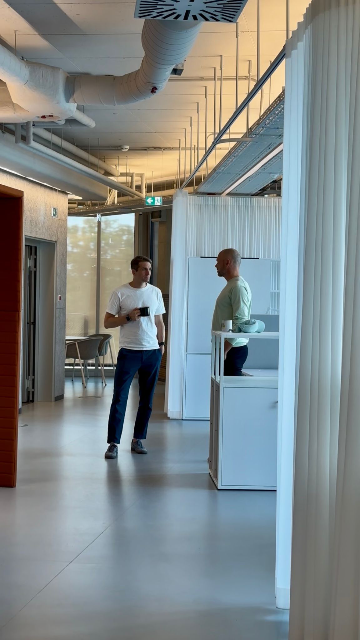 Aerial view of a winding road surrounded by dense green and yellow trees, showcasing nature’s vibrant colors.