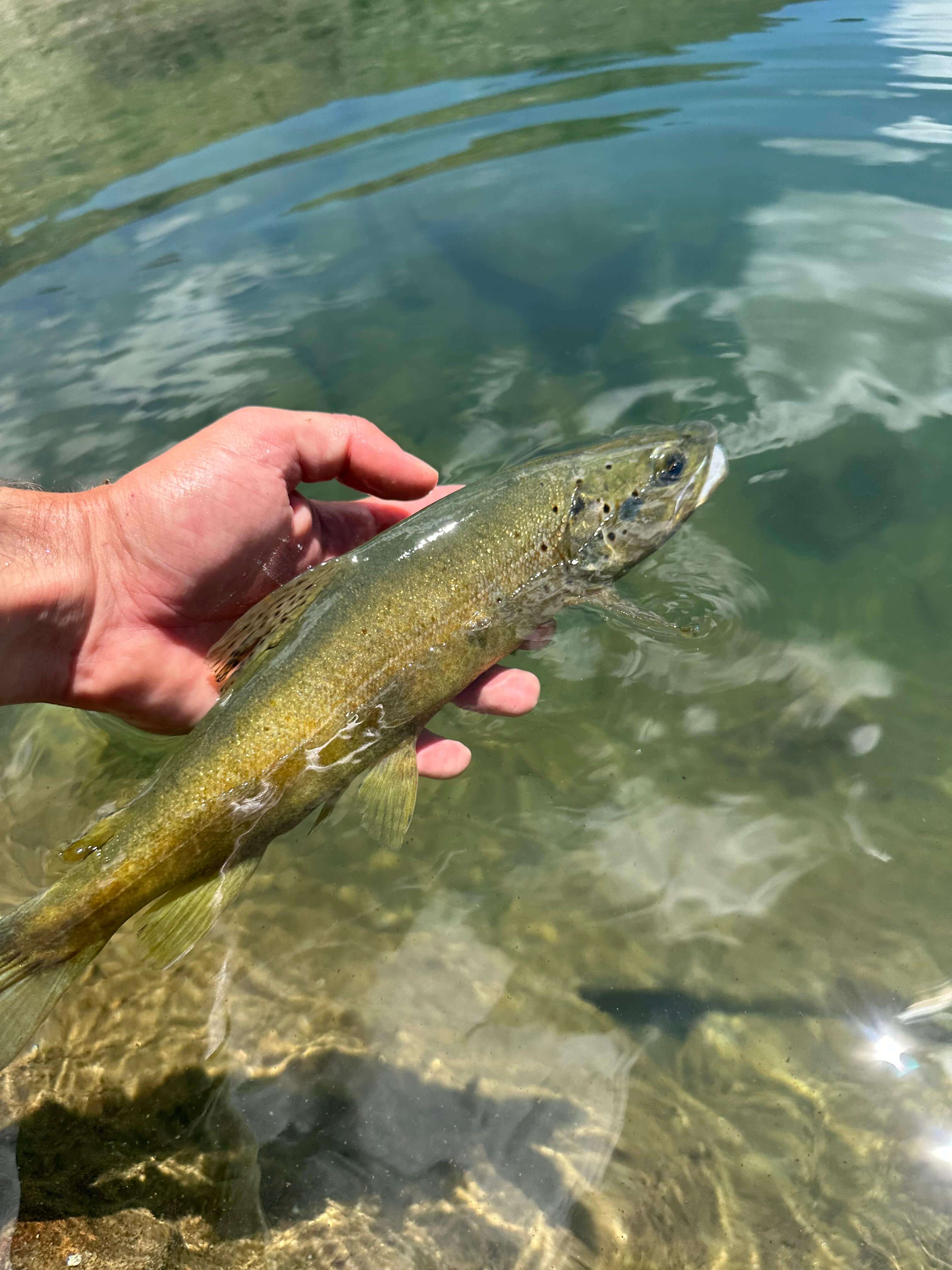 Alpine lake fly fishing in the Spanish Pyrenees with panoramic mountain views