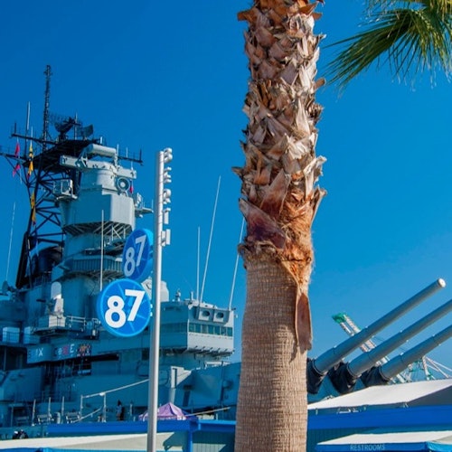 Palm tree in front of a battleship with visible guns and the number 87 displayed on signs, set against a clear blue sky.