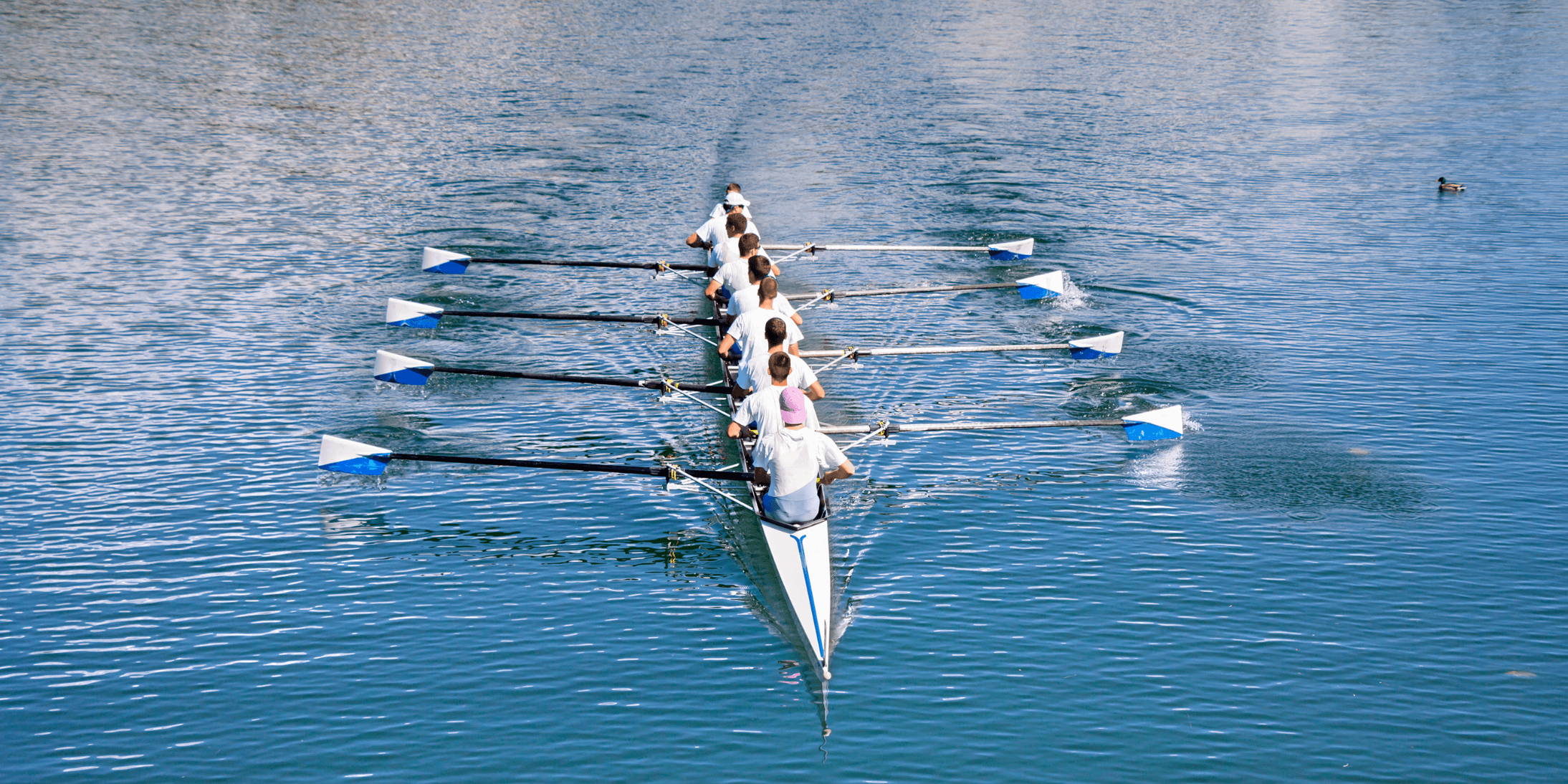 How to ensure white label support is seamless