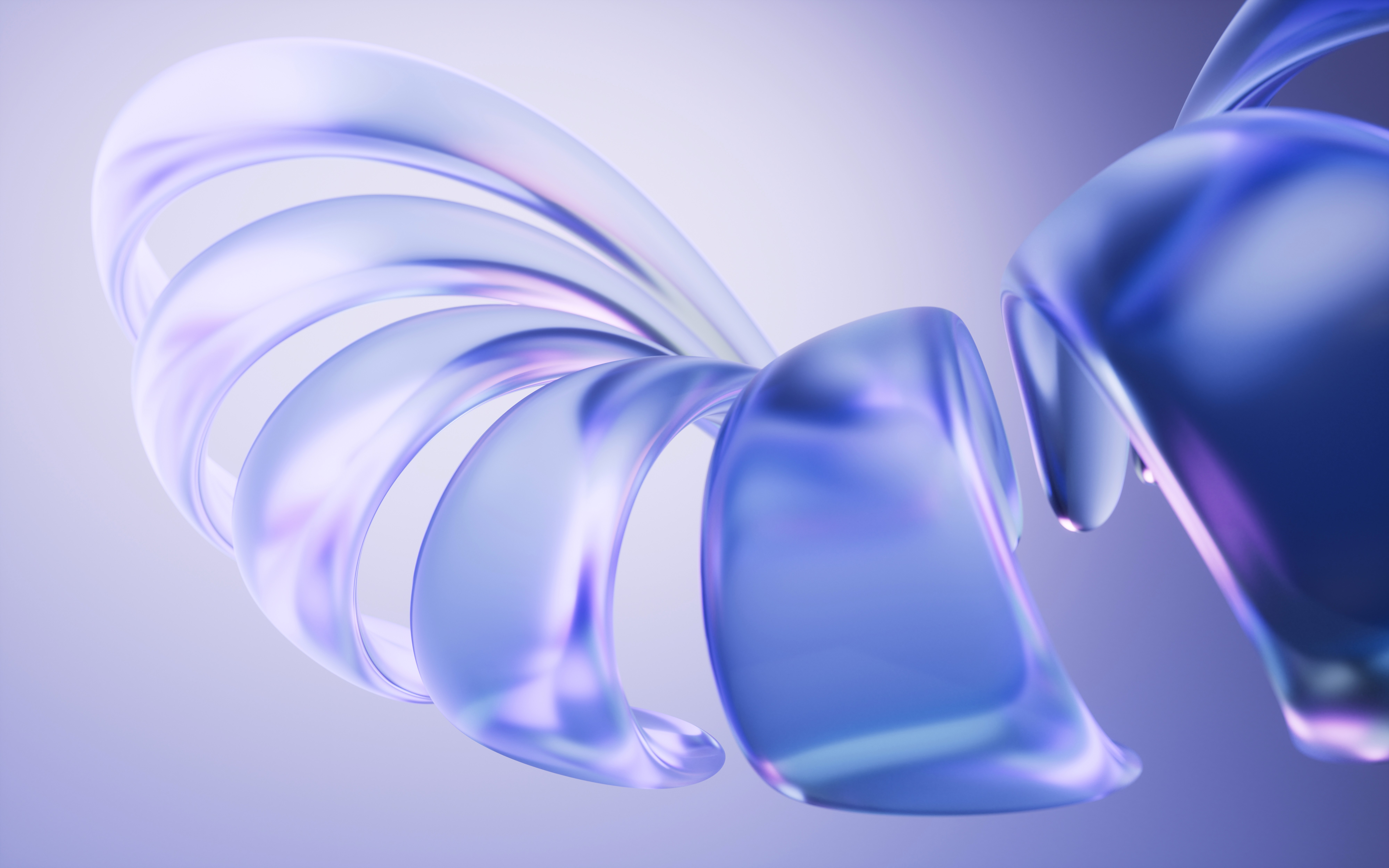 corkboard surrounded by flowers