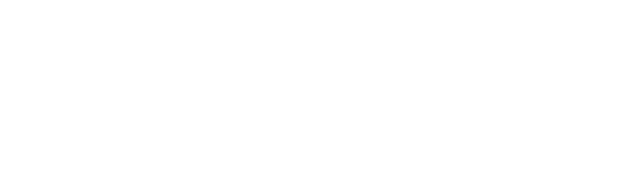 BFerraz
