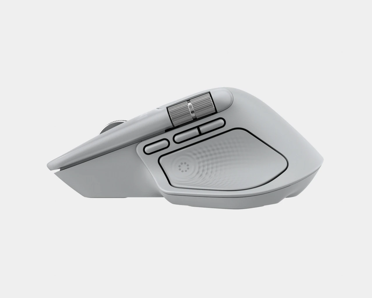 Side-view of white mouse