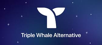 Triple Whale Alternatives