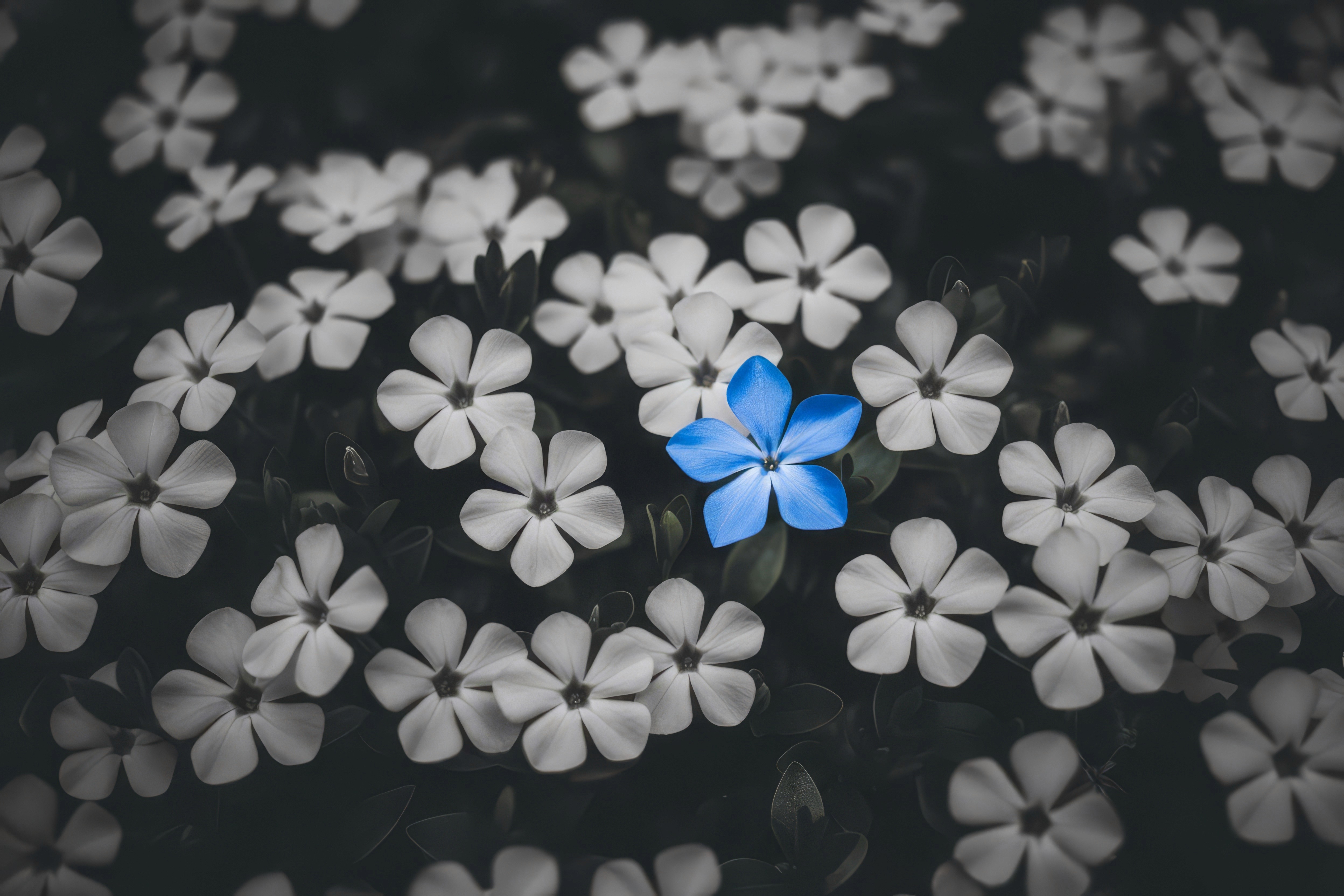 Dynamic picture of a cyclist riding downhill